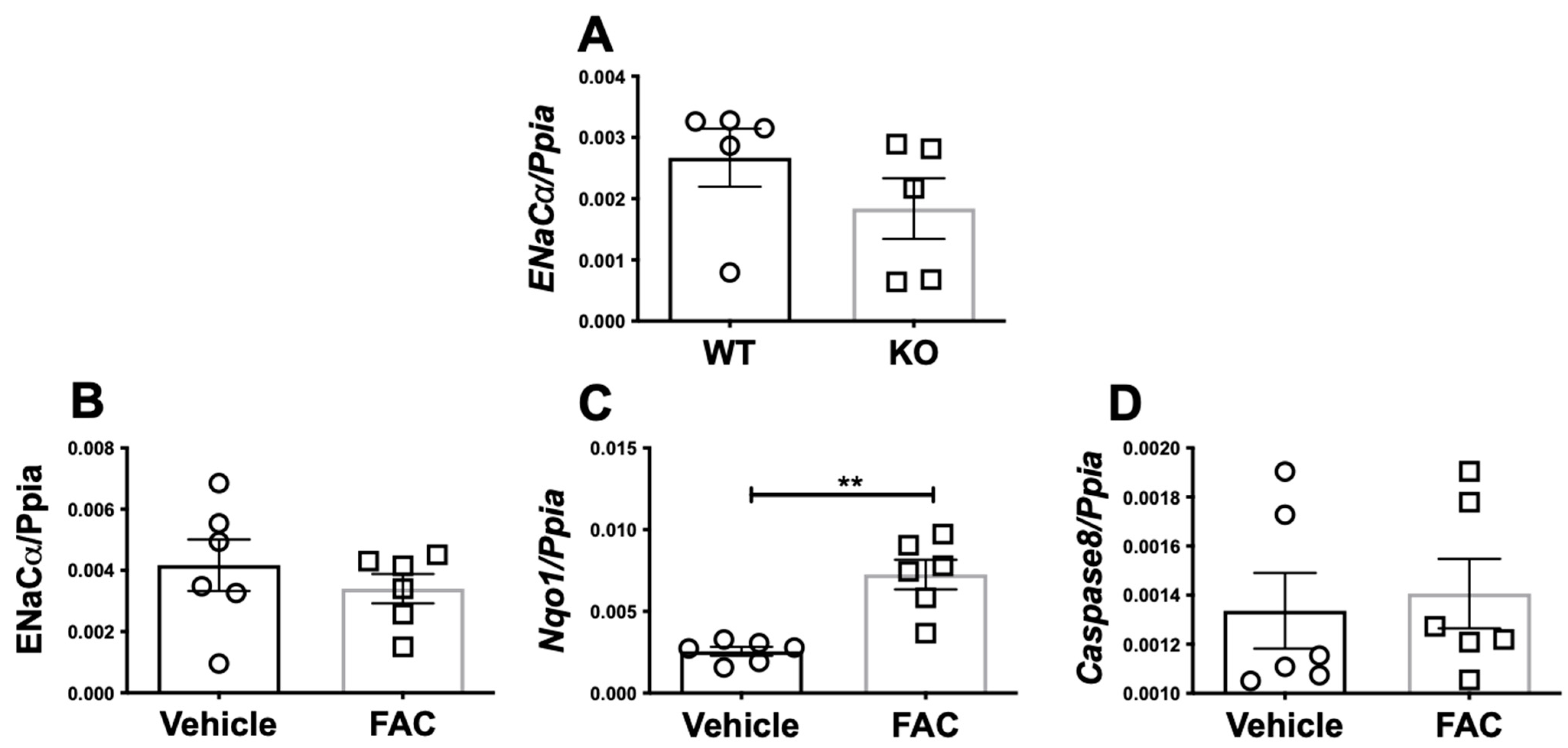 Biology 11 00123 g002 Biology 11 00123 g002
