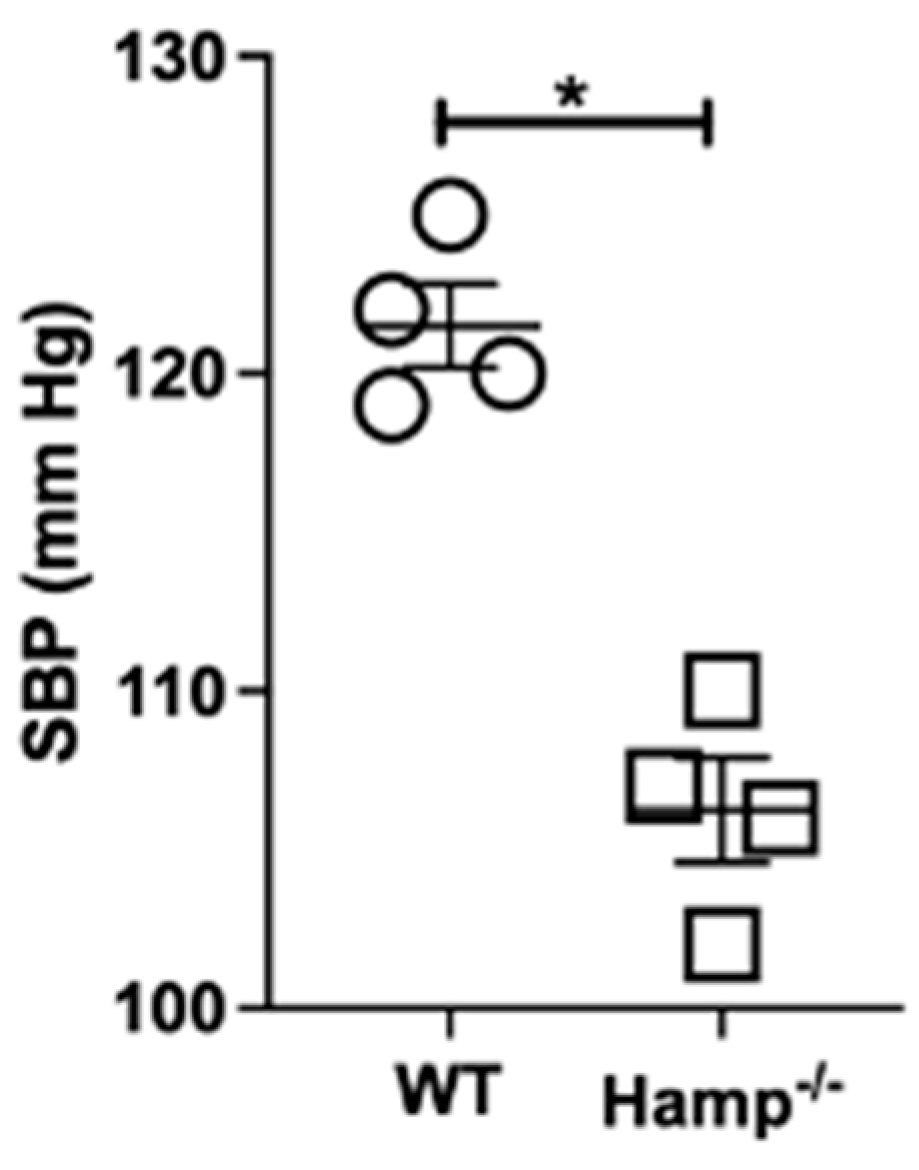 Biology 11 00123 g008 Biology 11 00123 g008