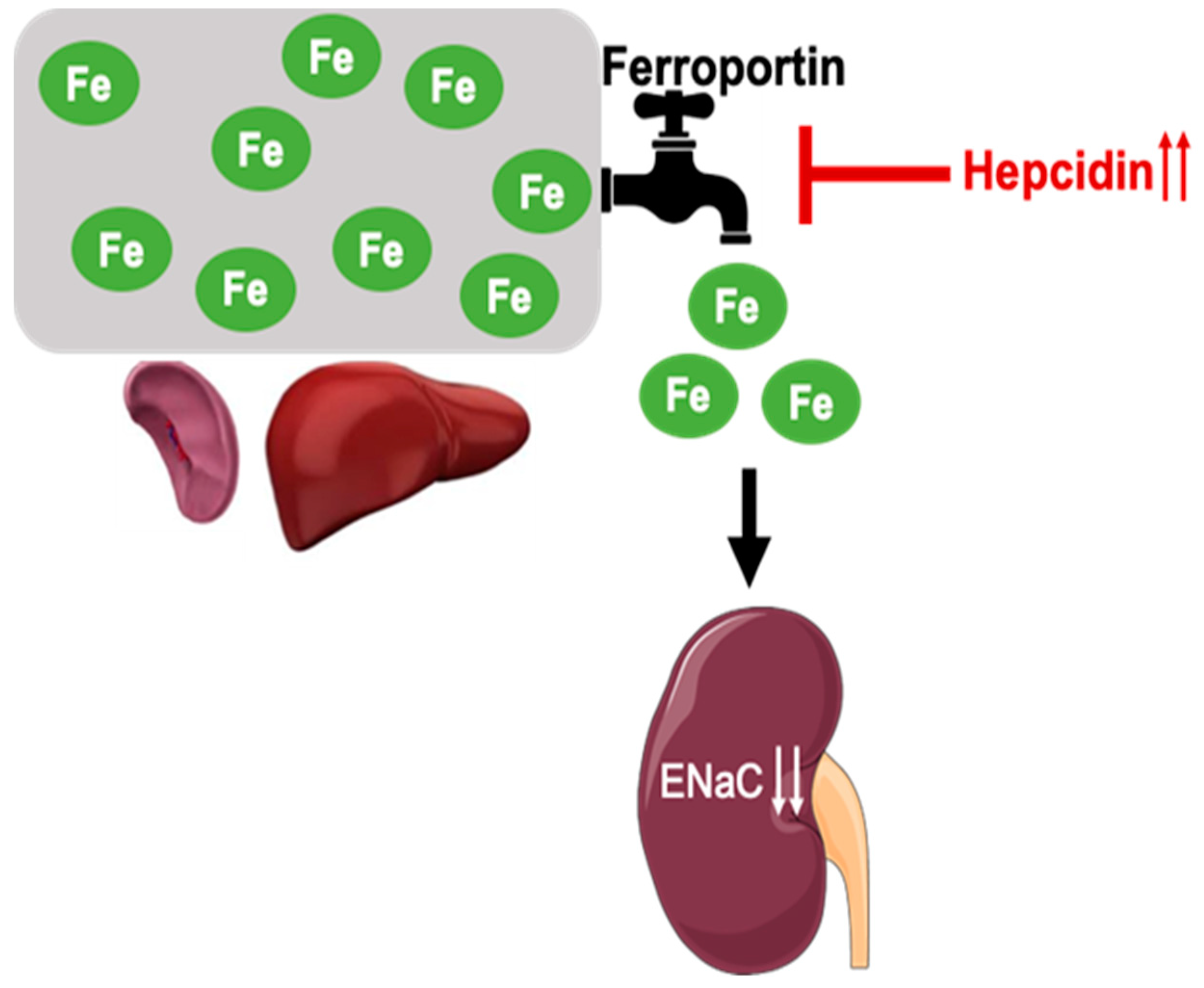 Biology 11 00123 g009 Biology 11 00123 g009
