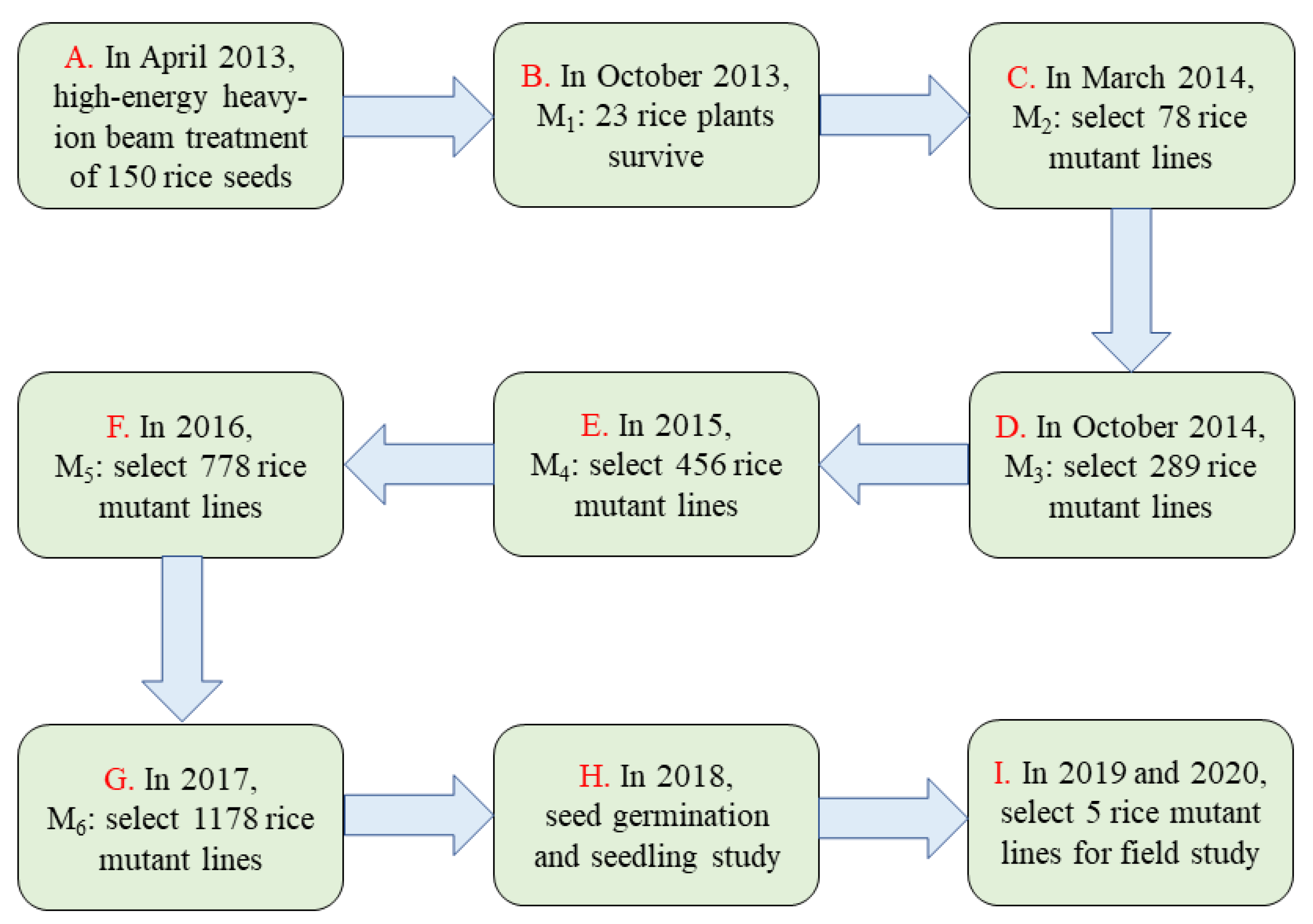 Biology 11 00126 g001