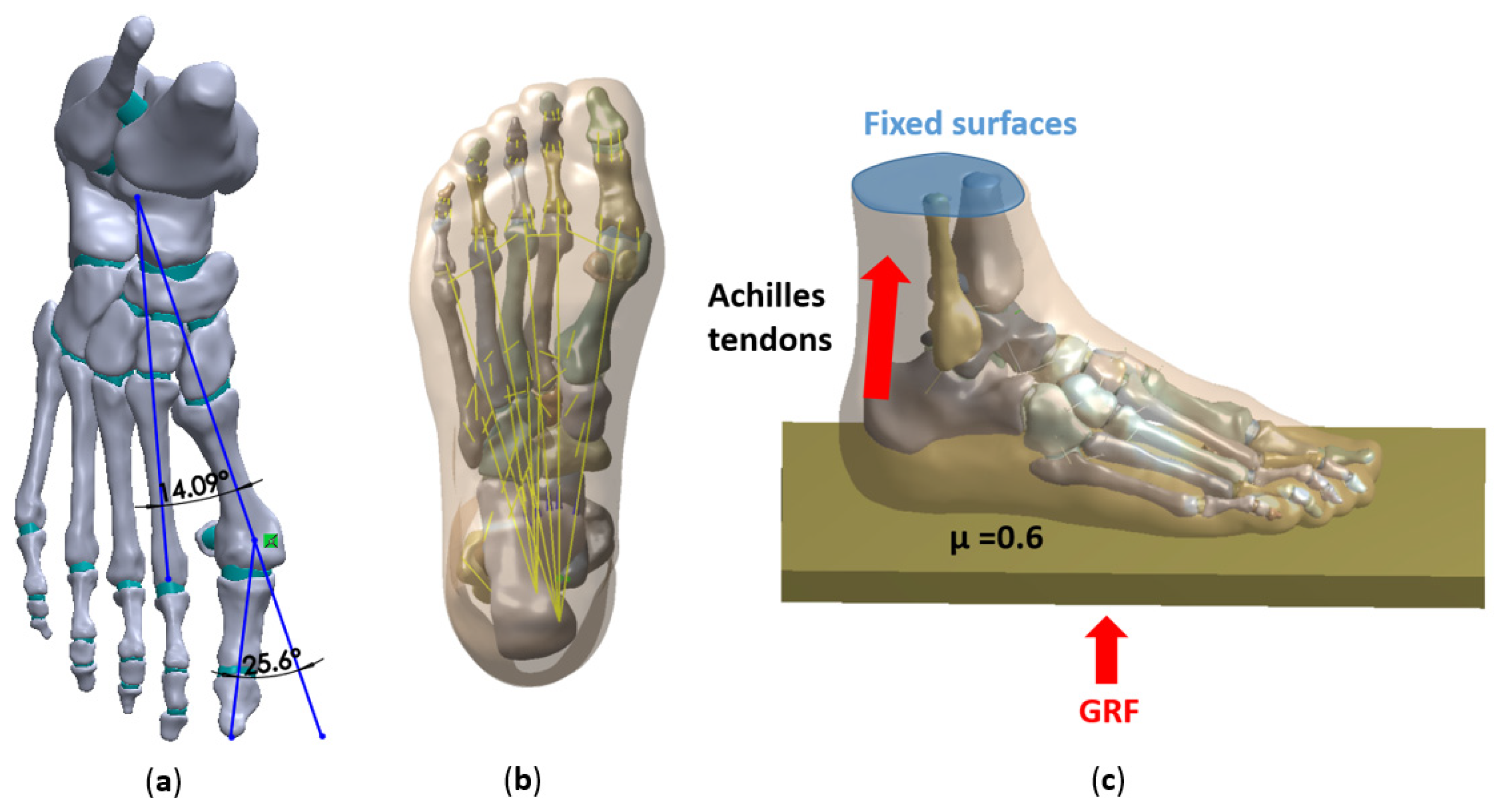 Biology 11 00127 g002 550