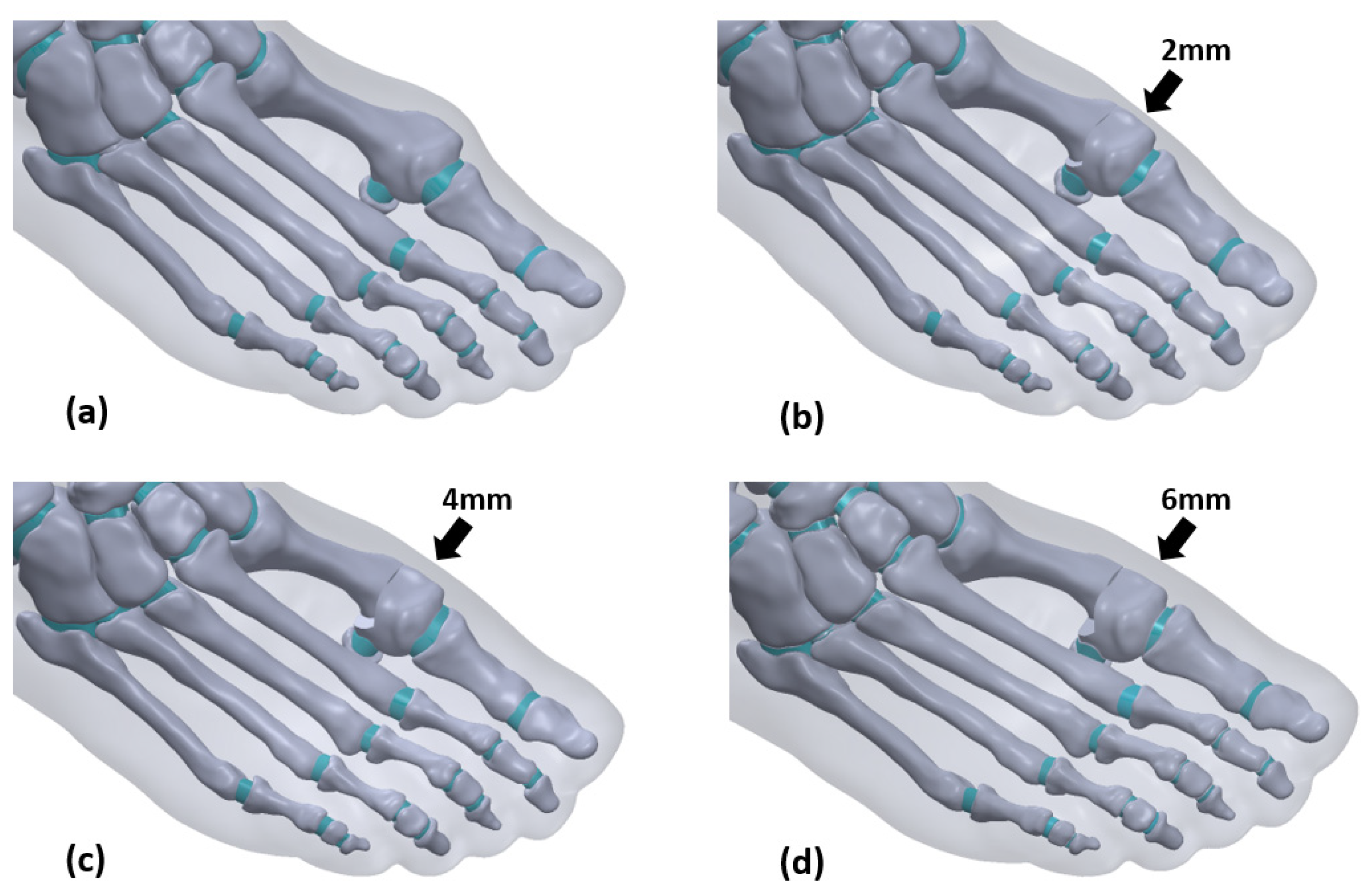Biology 11 00127 g003 550