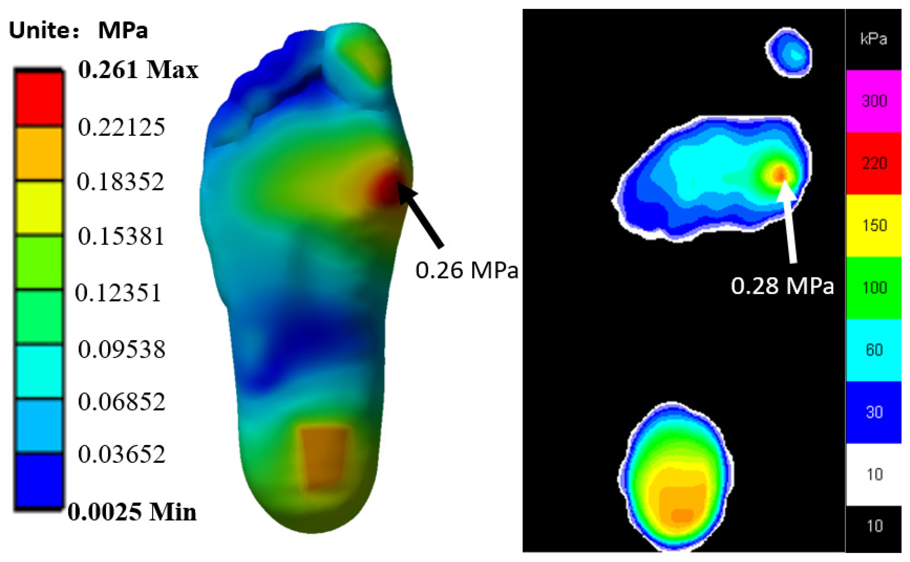 Biology 11 00127 g004 550