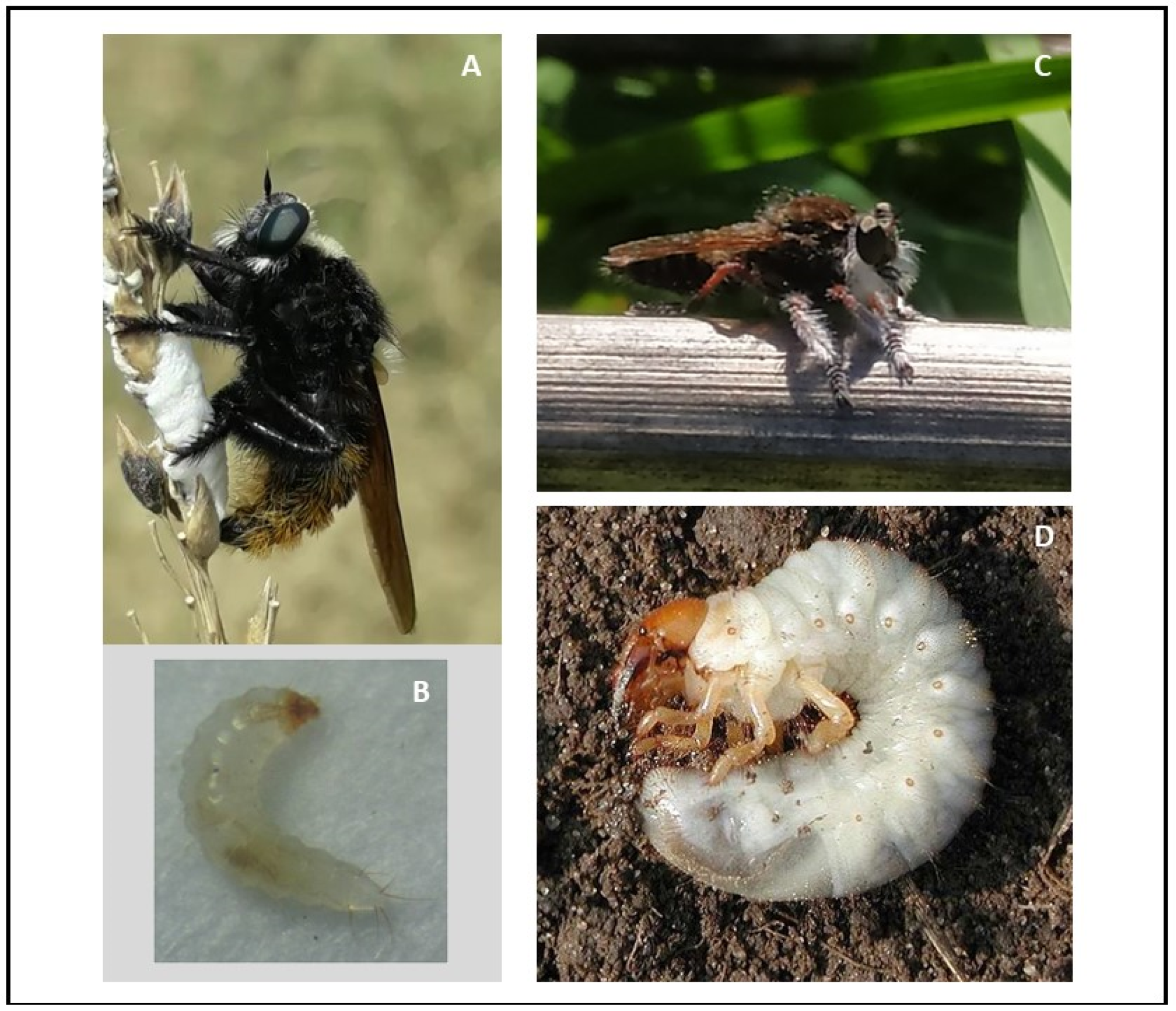 Biology 11 00129 g001 550