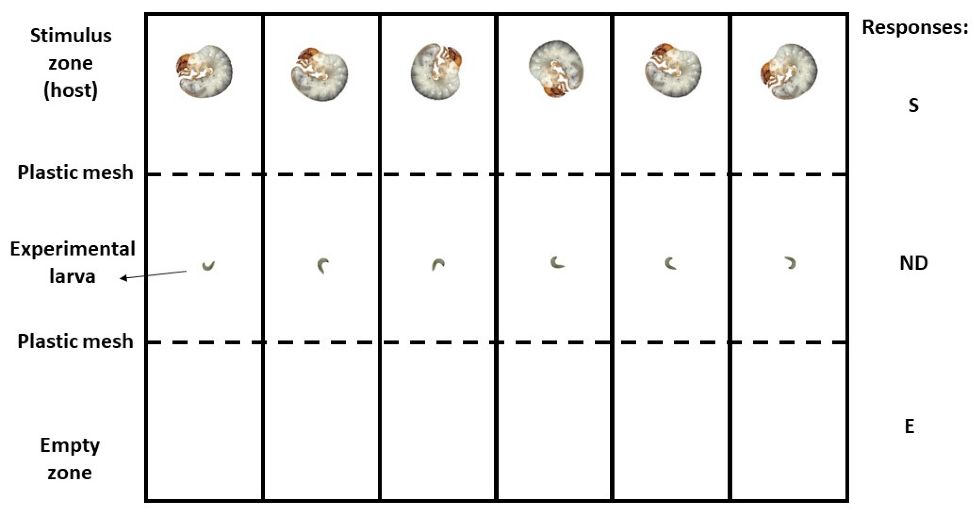 Biology 11 00129 g003 550