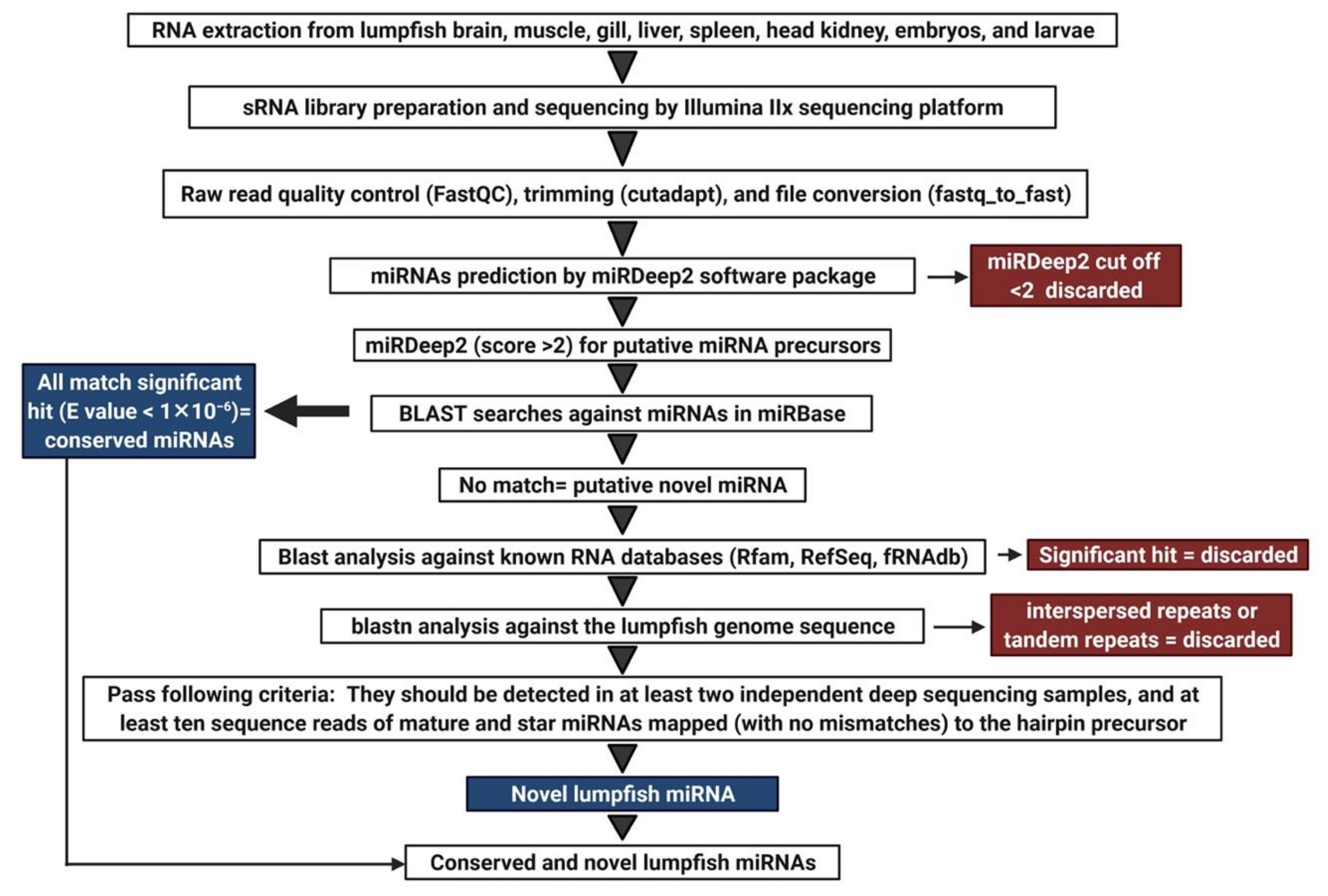 Biology 11 00130 g001 550