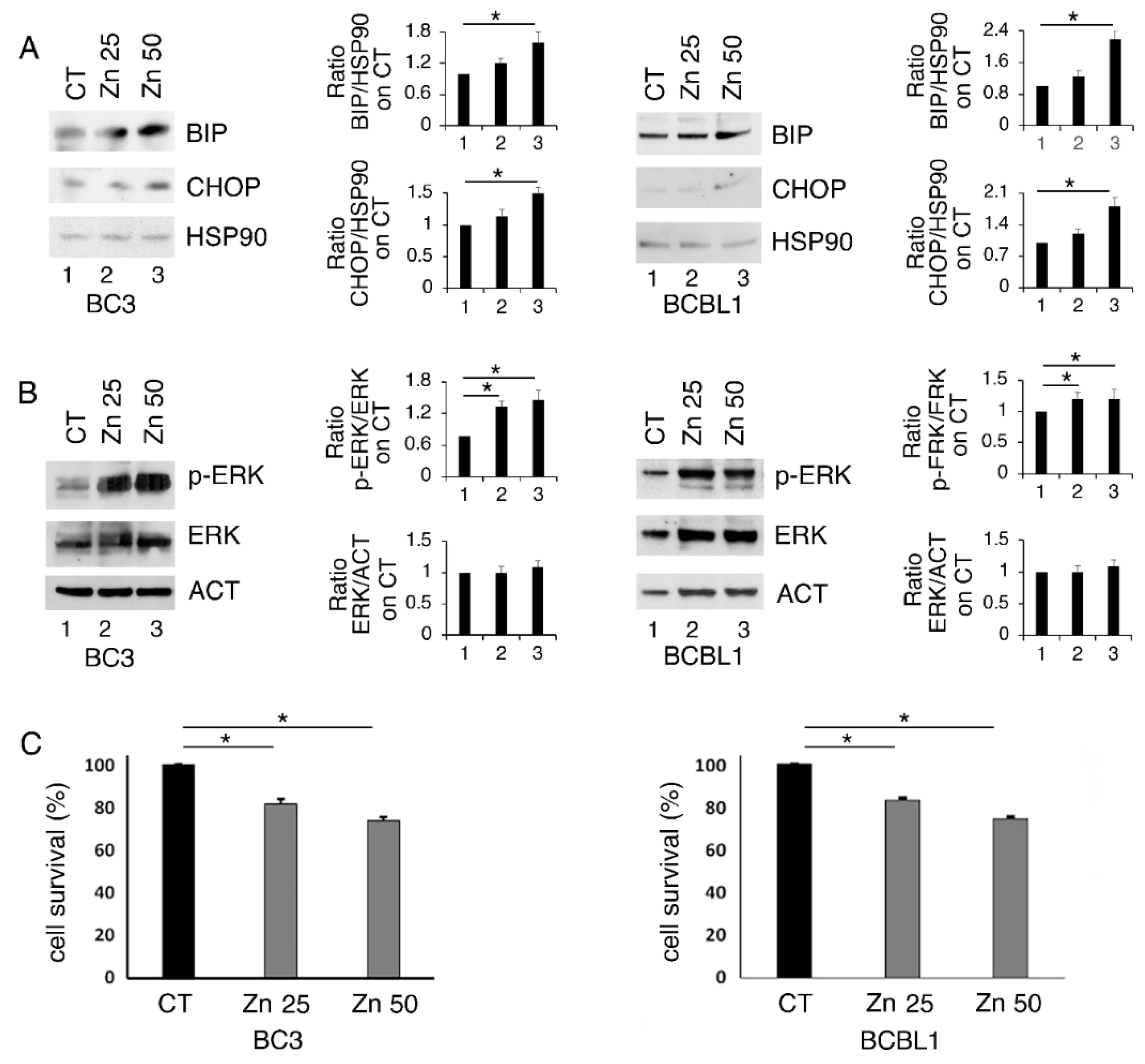 Biology 11 00132 g001 550