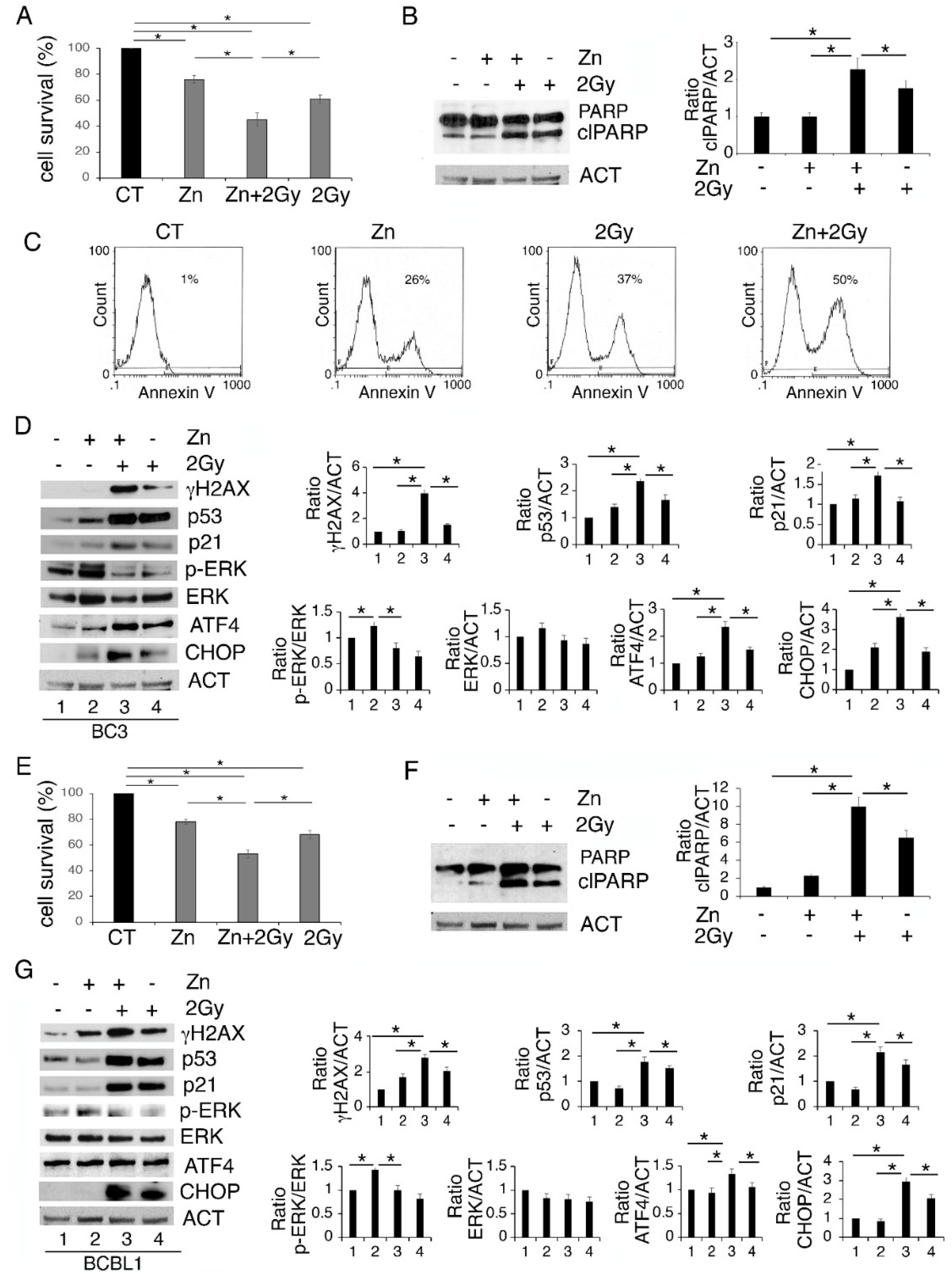 Biology 11 00132 g003 550