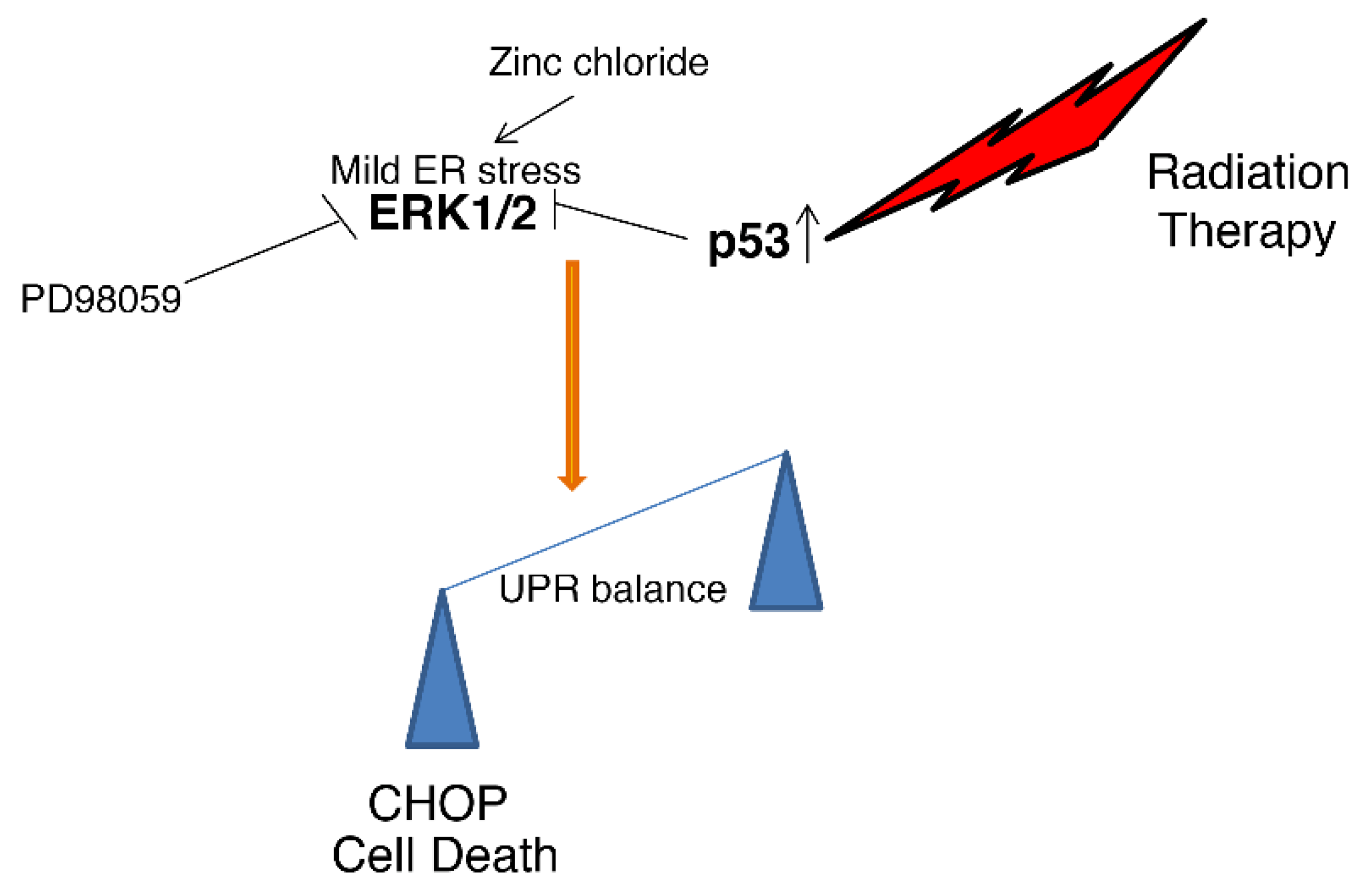 Biology 11 00132 g005 550