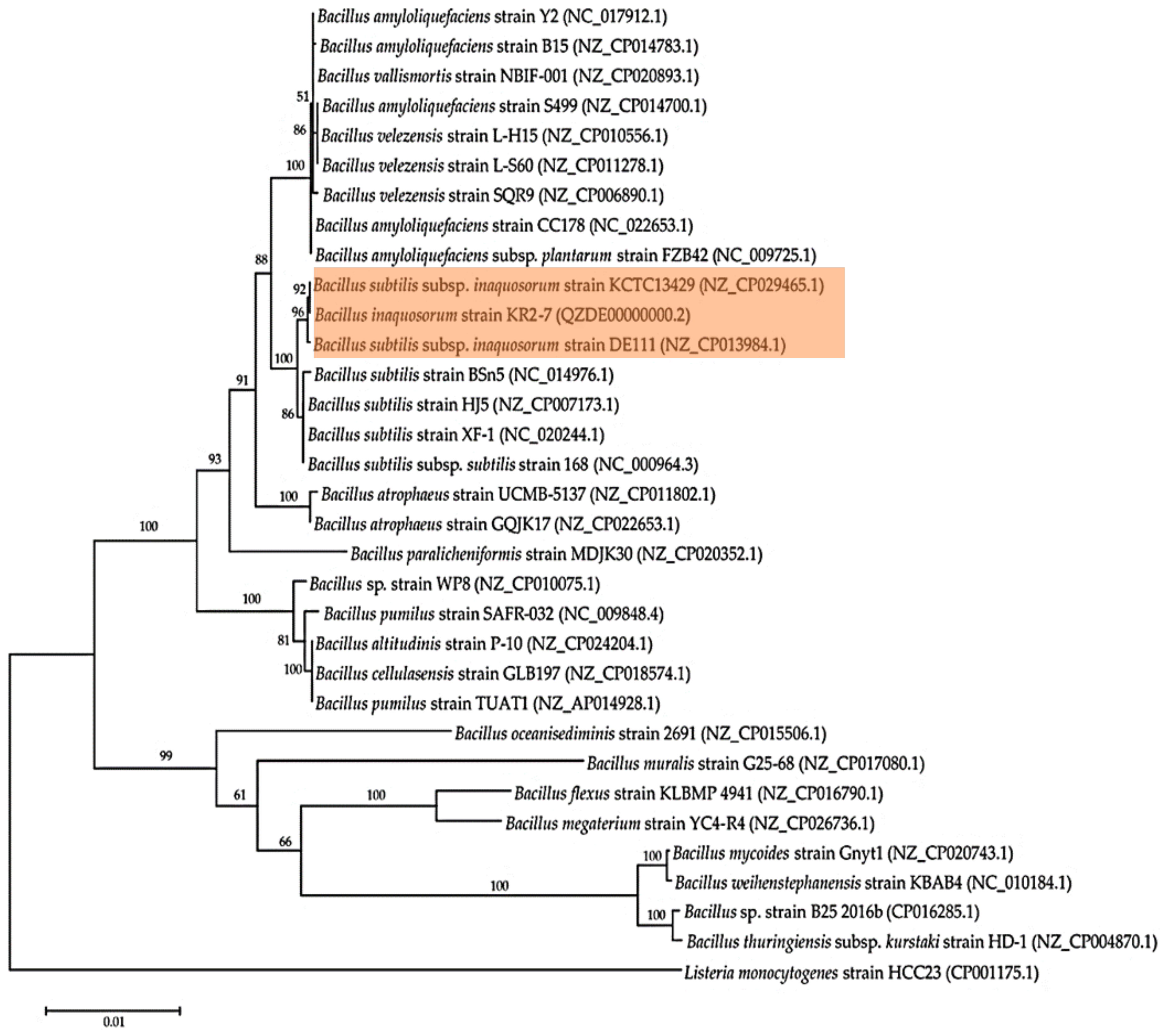 Biology 11 00137 g001