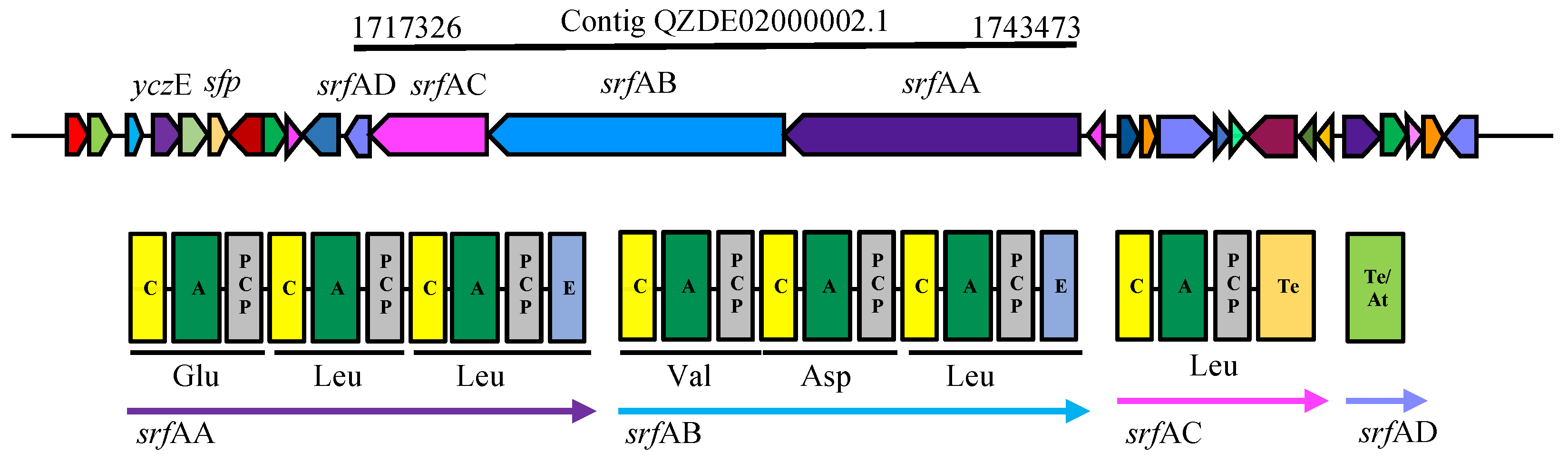 Biology 11 00137 g005