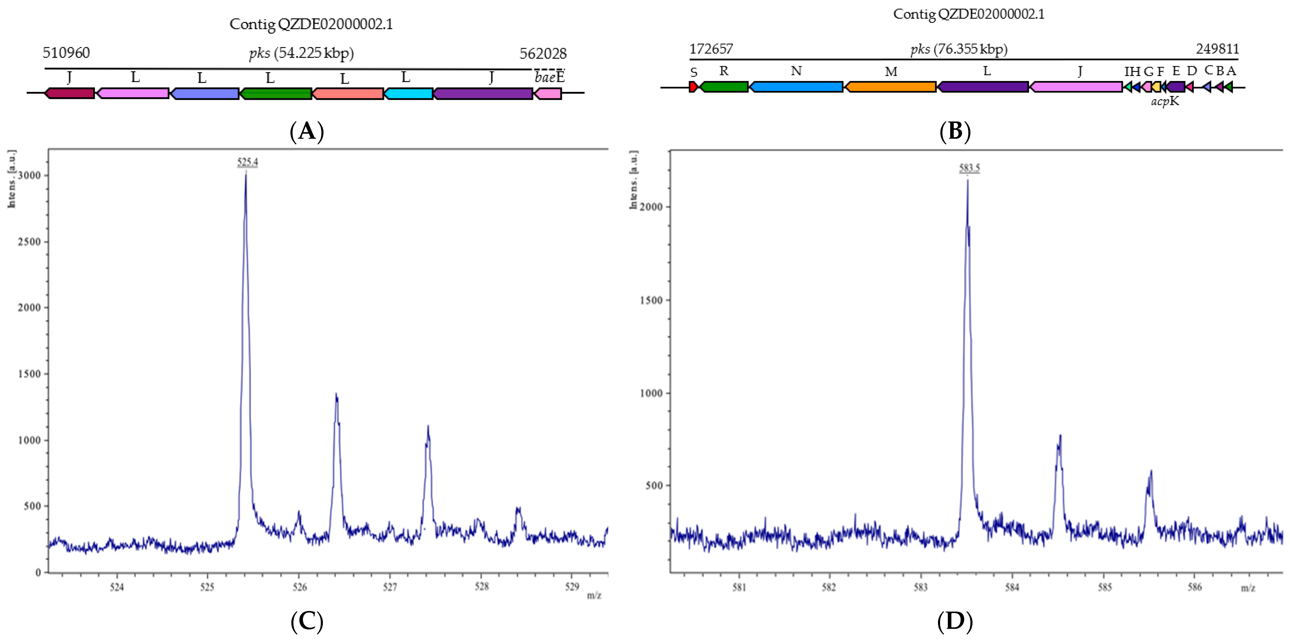 Biology 11 00137 g006