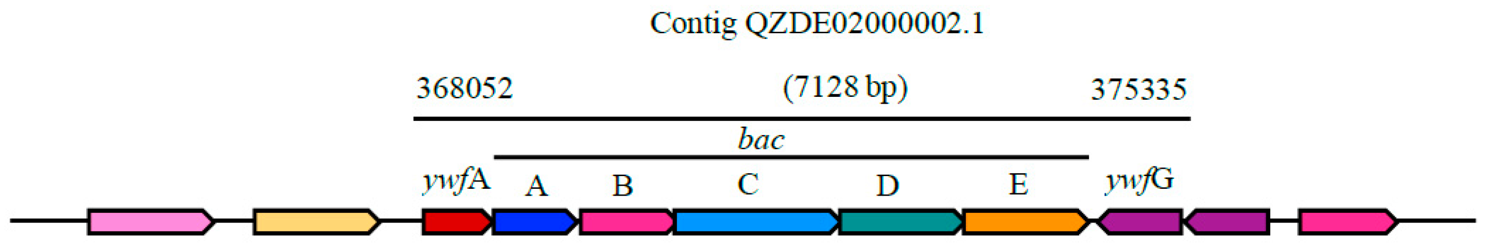 Biology 11 00137 g007
