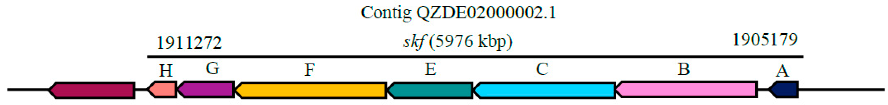 Biology 11 00137 g009