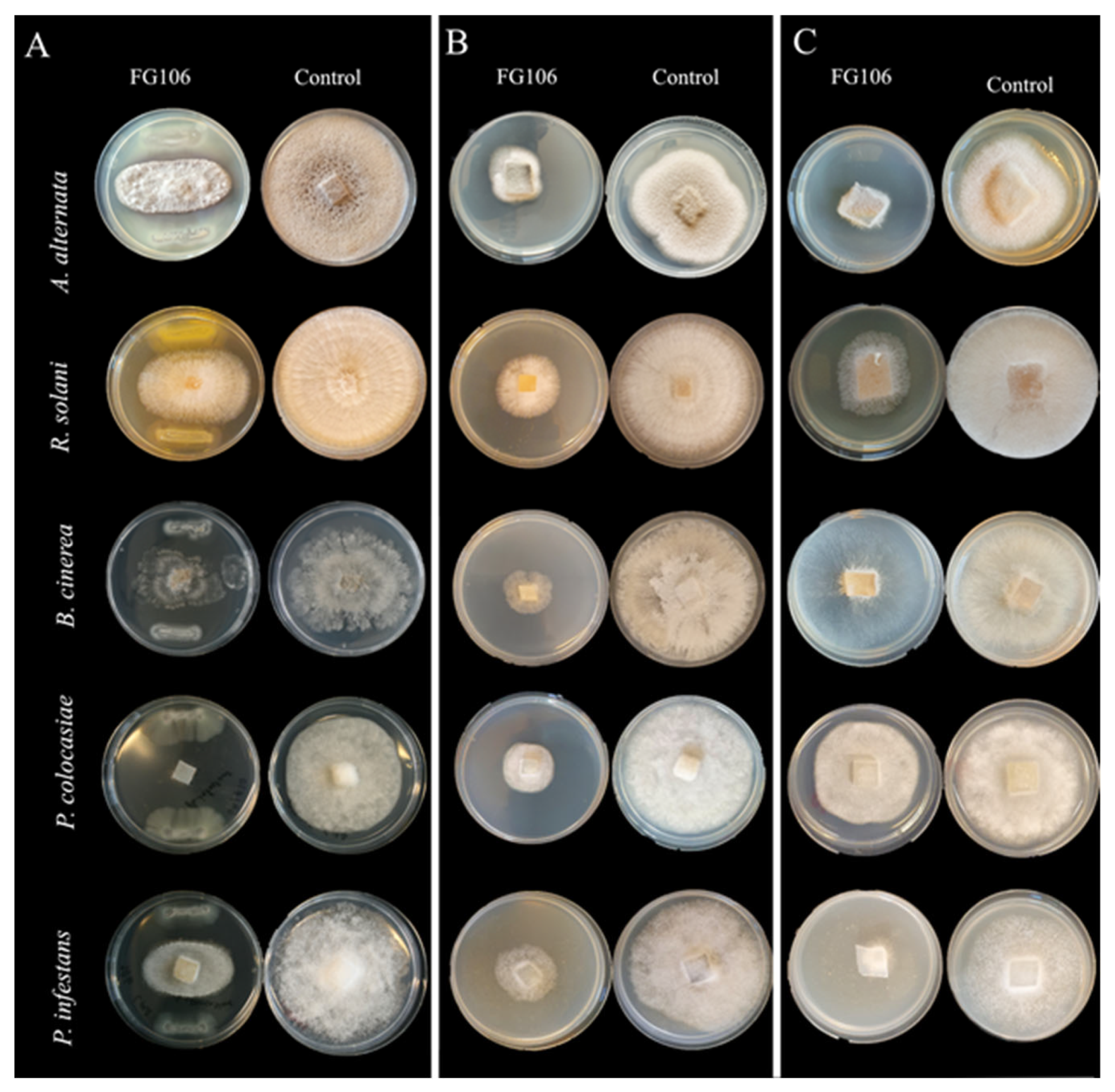Biology 11 00140 g001
