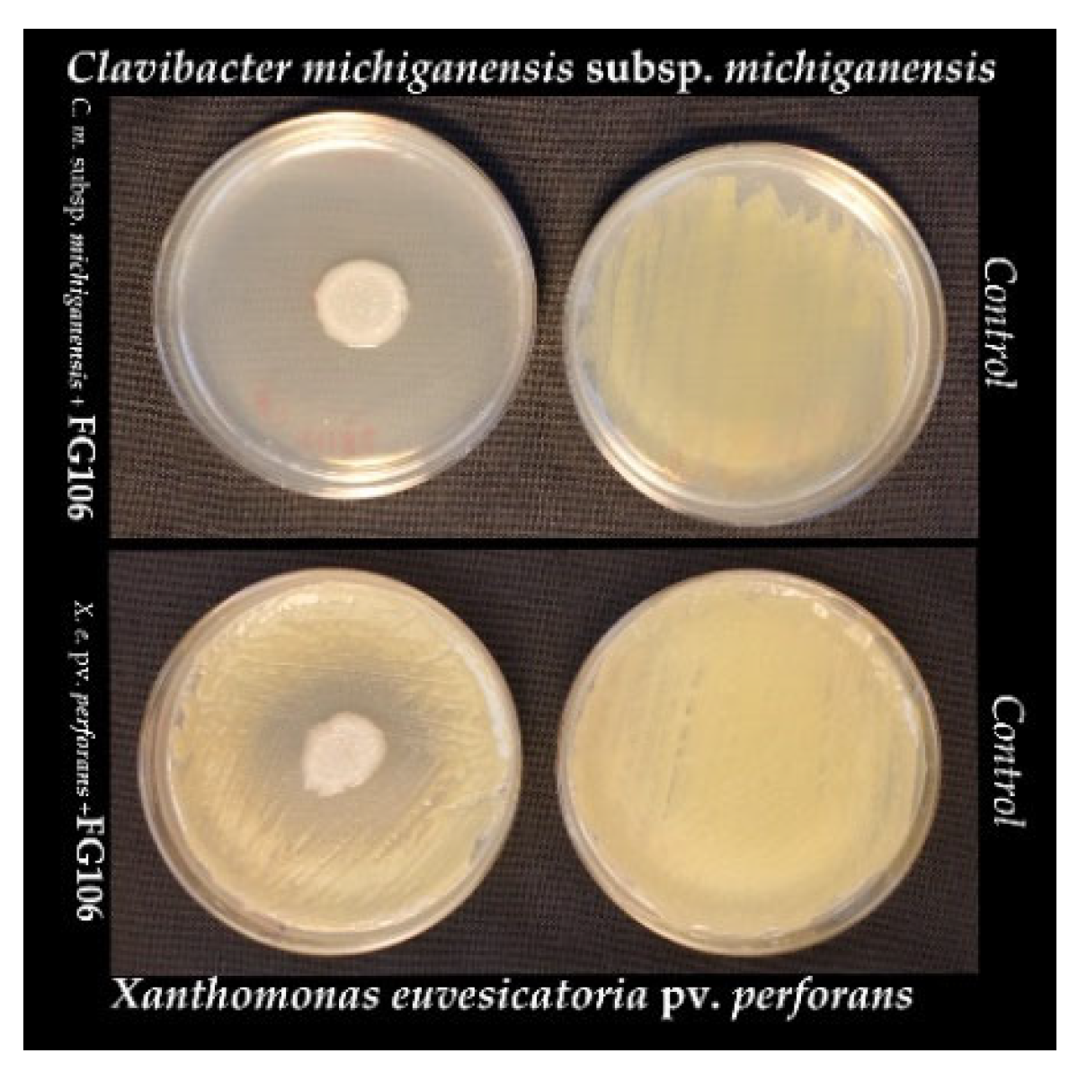 Biology 11 00140 g002