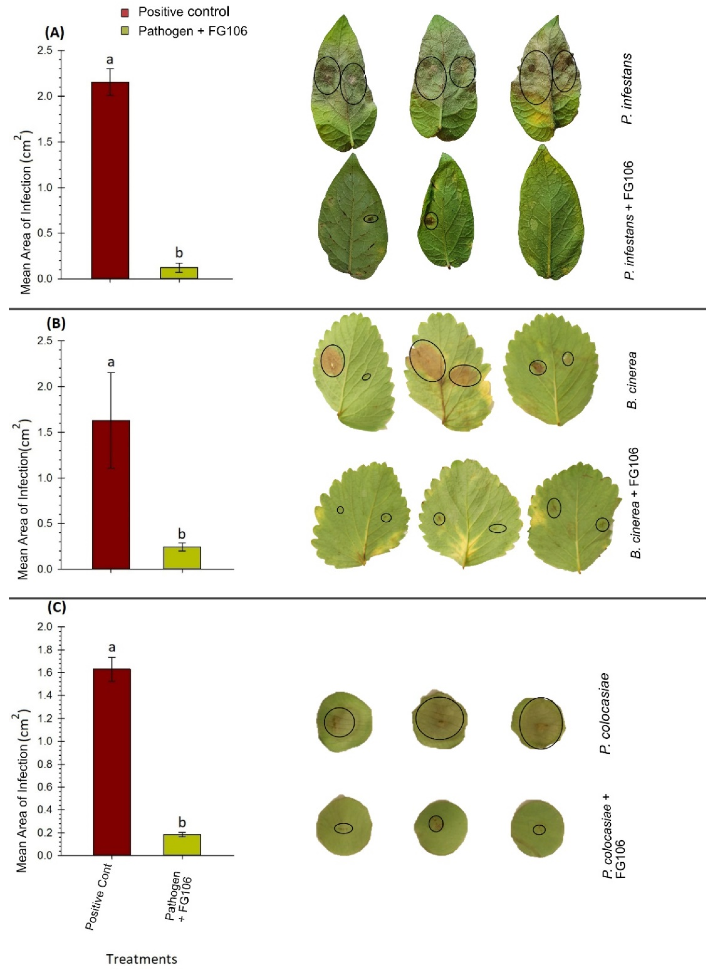 Biology 11 00140 g005