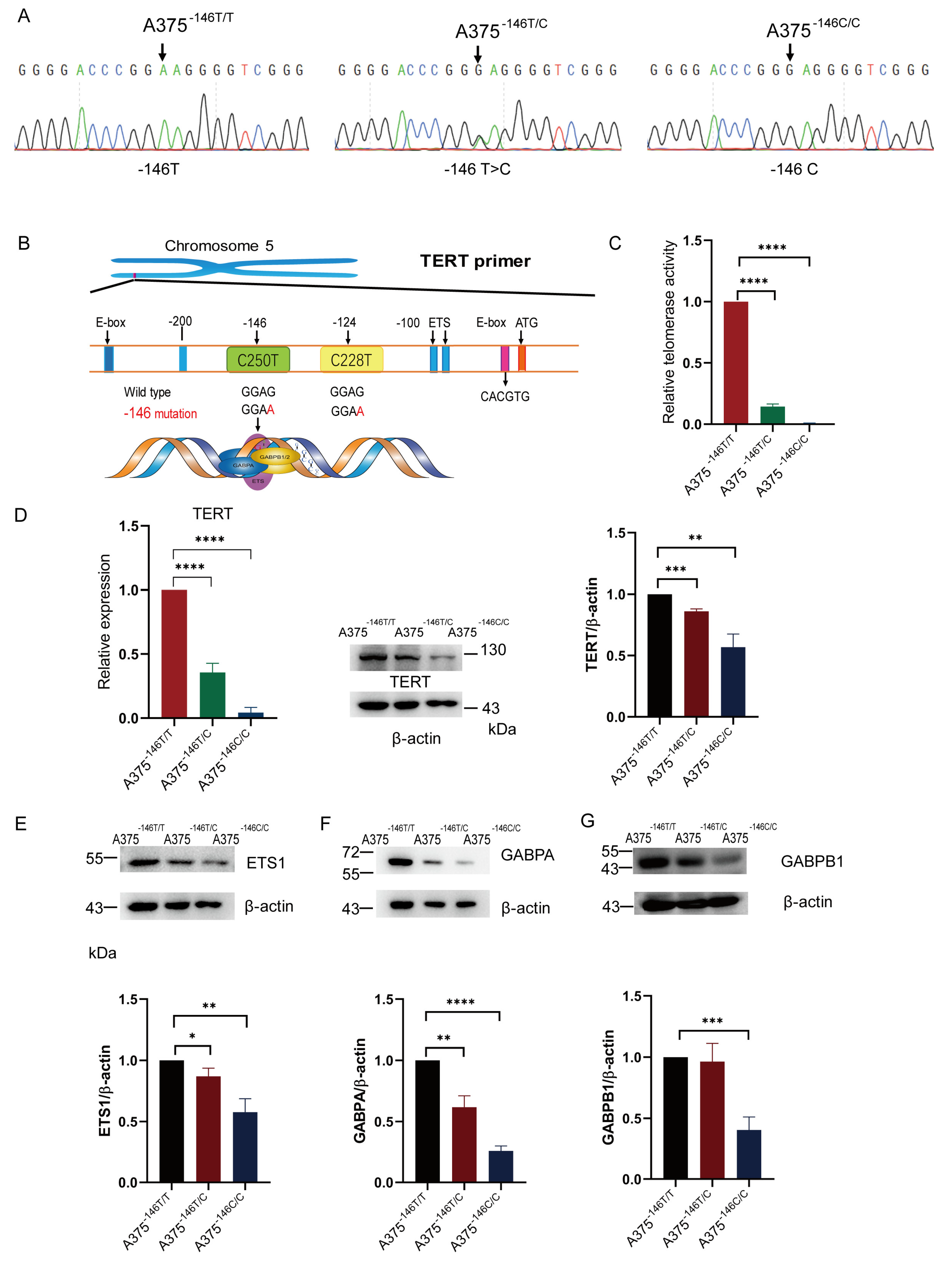 Biology 11 00141 g001 Biology 11 00141 g001