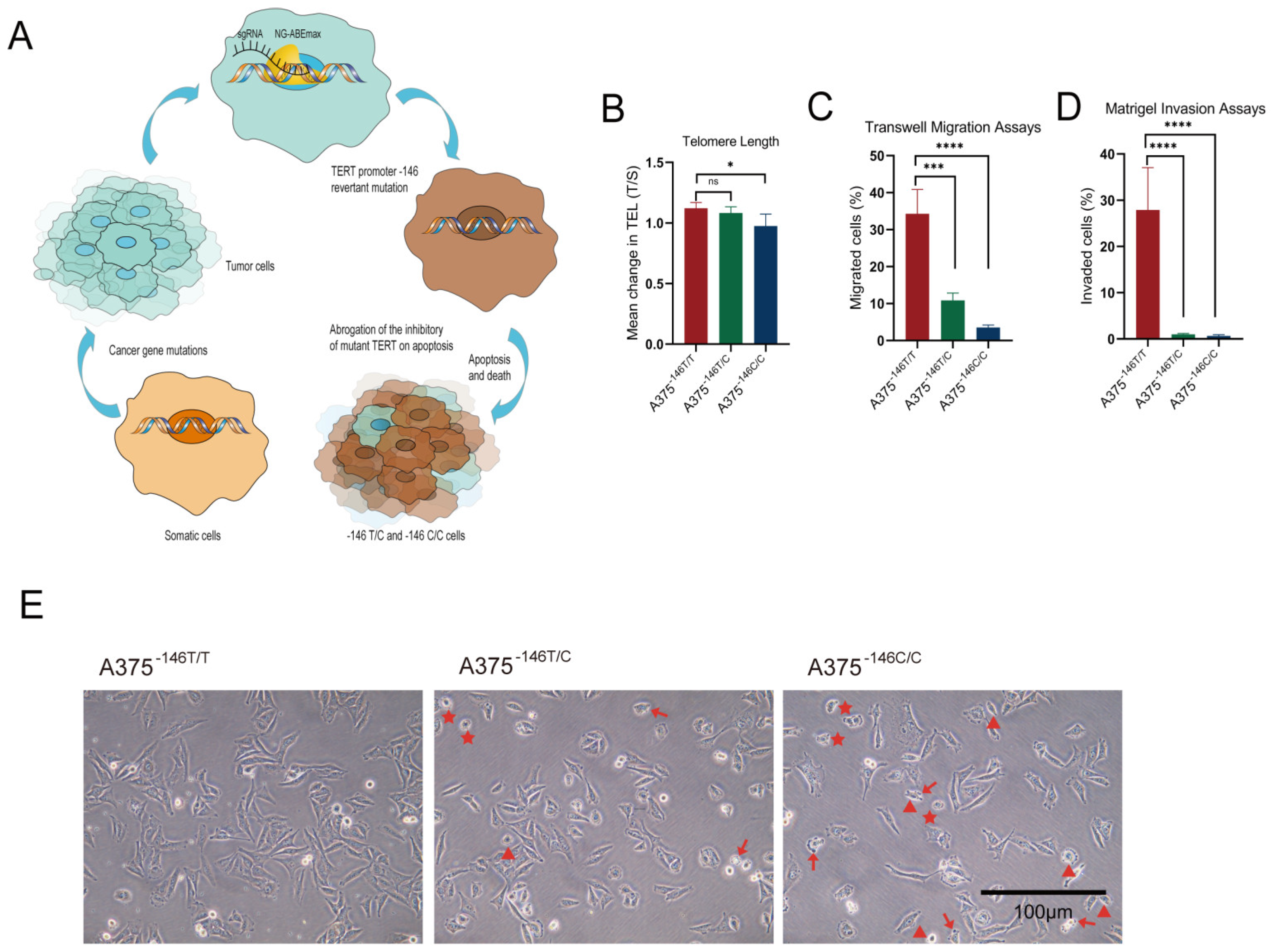 Biology 11 00141 g002a Biology 11 00141 g002a
