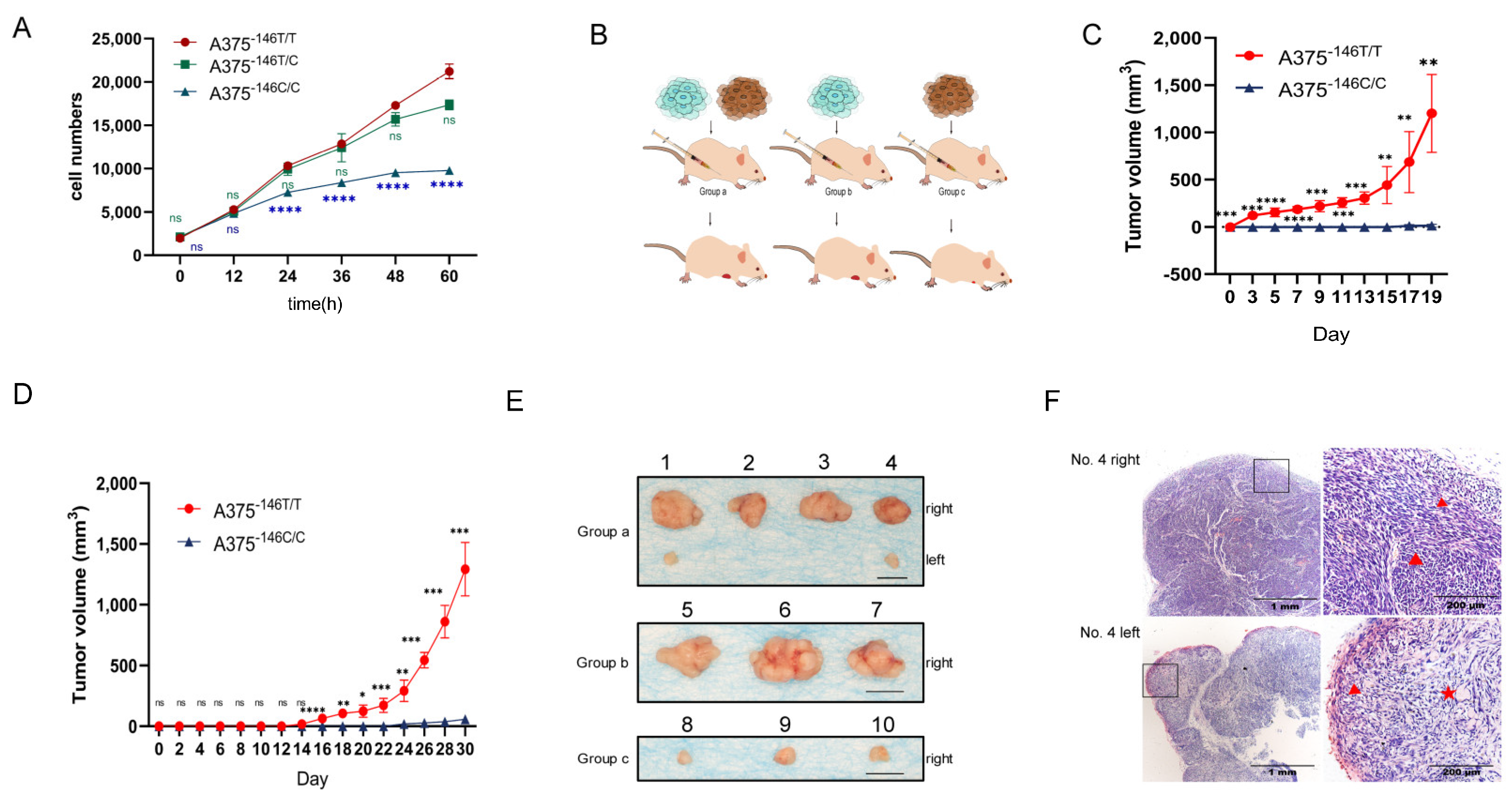 Biology 11 00141 g004 Biology 11 00141 g004
