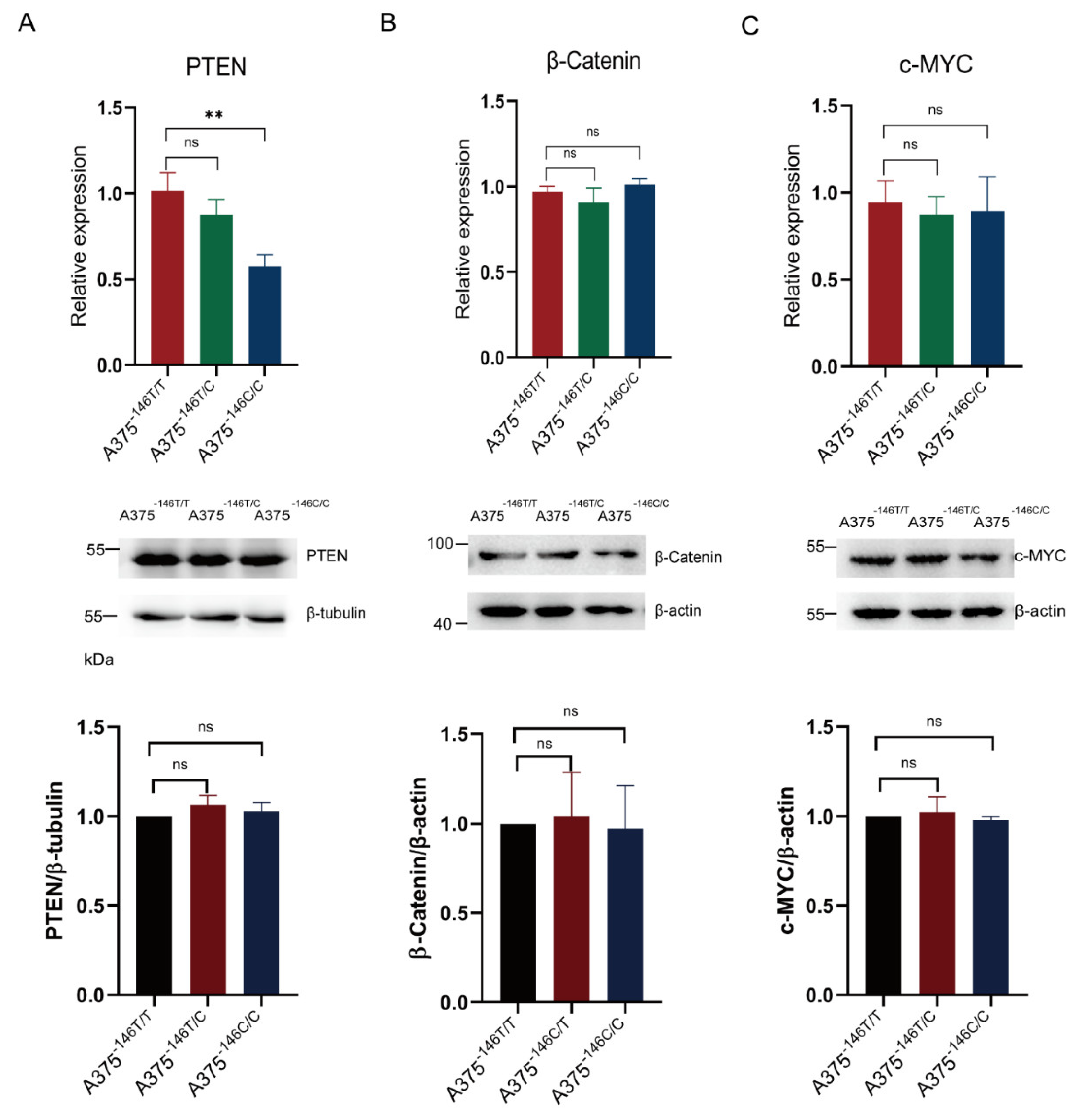 Biology 11 00141 g005 Biology 11 00141 g005