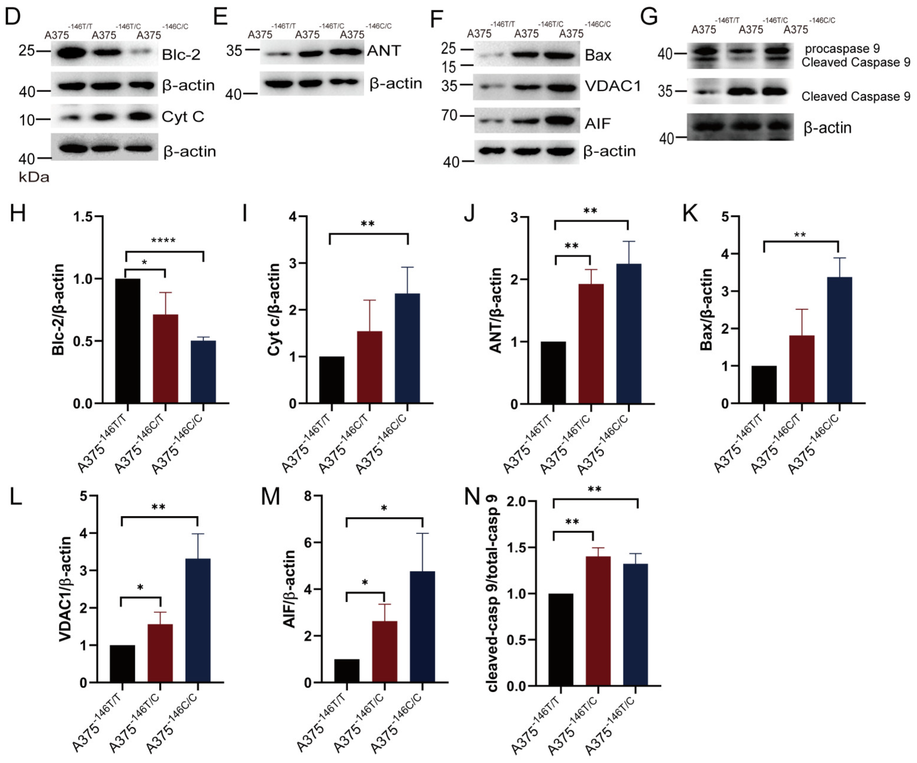 Biology 11 00141 g006b Biology 11 00141 g006b