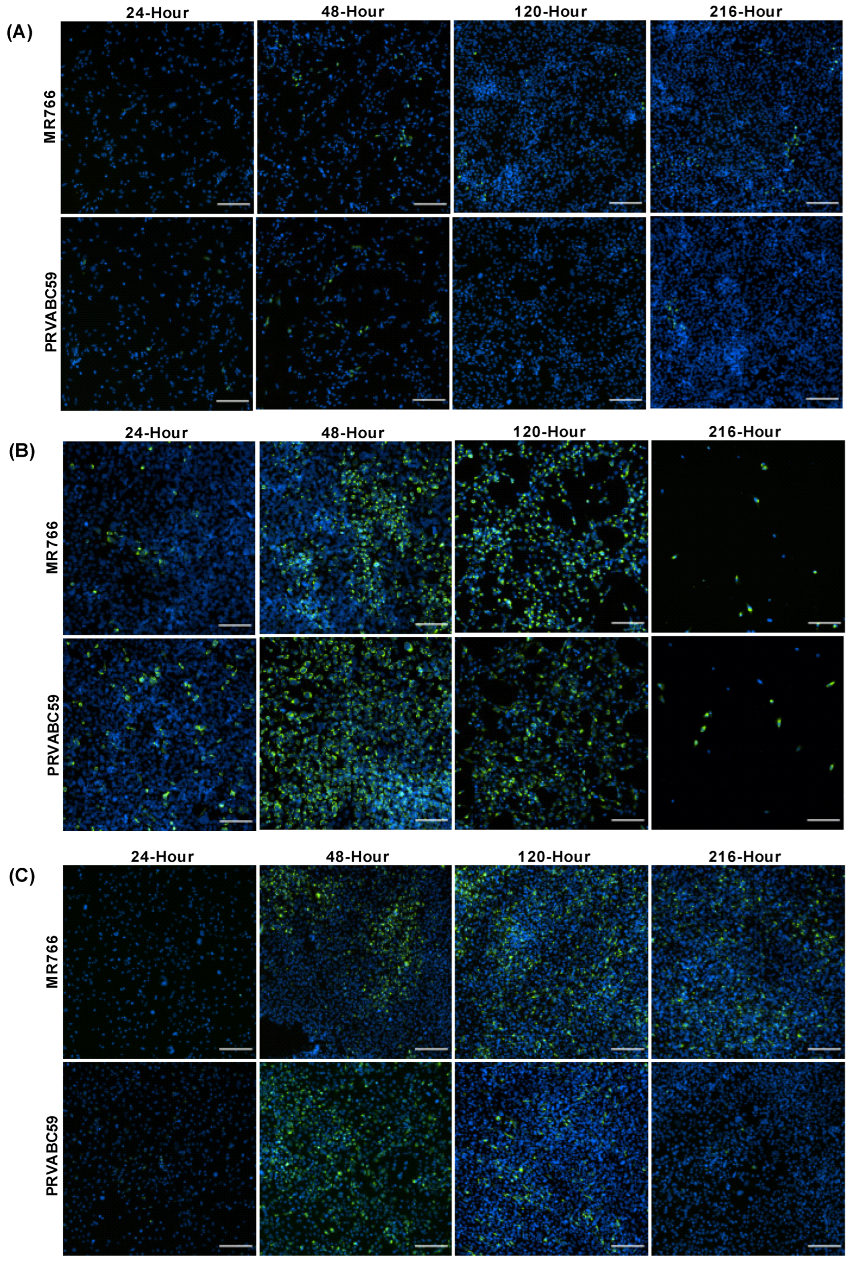 Biology 11 00143 g001