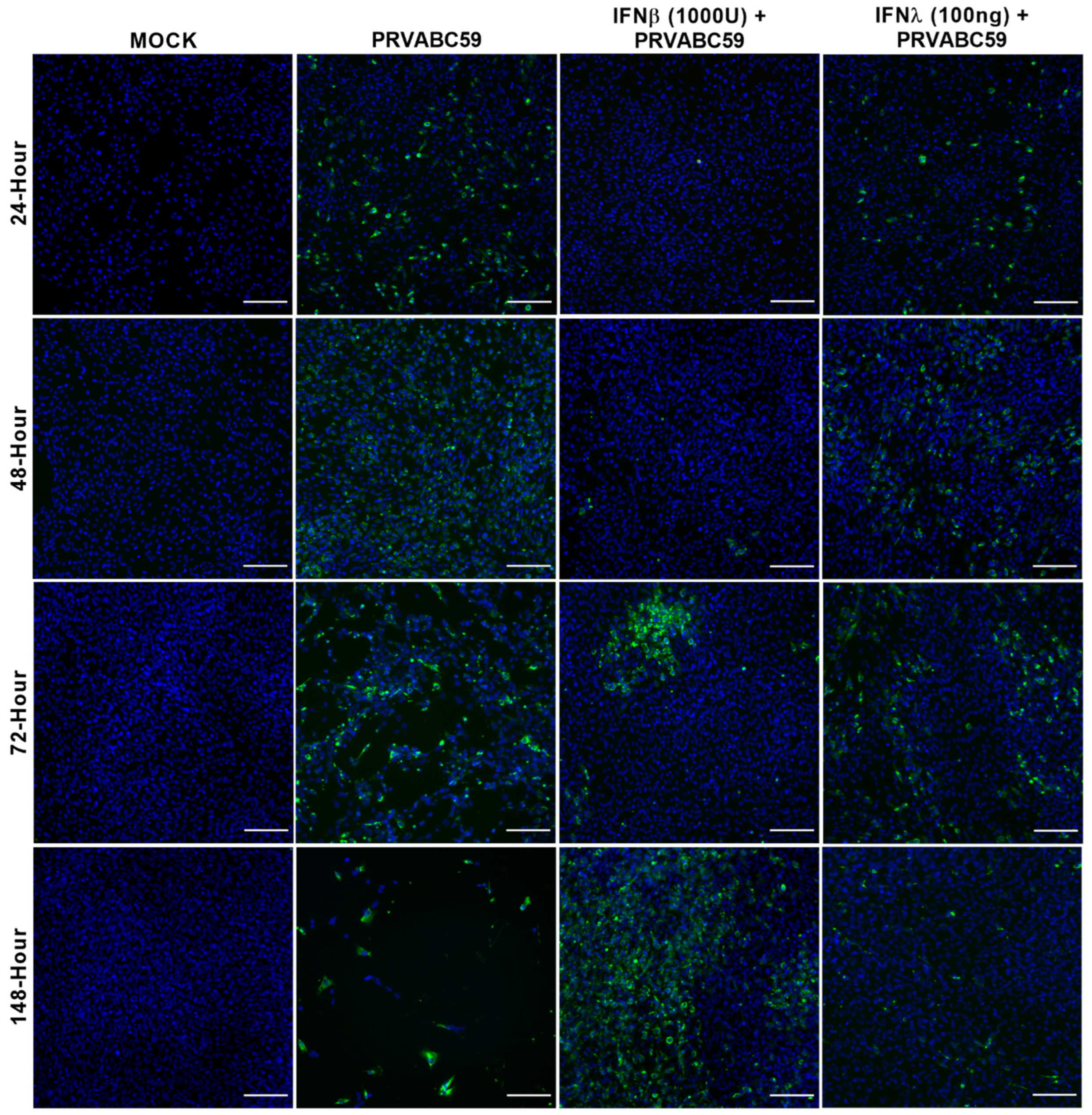 Biology 11 00143 g005