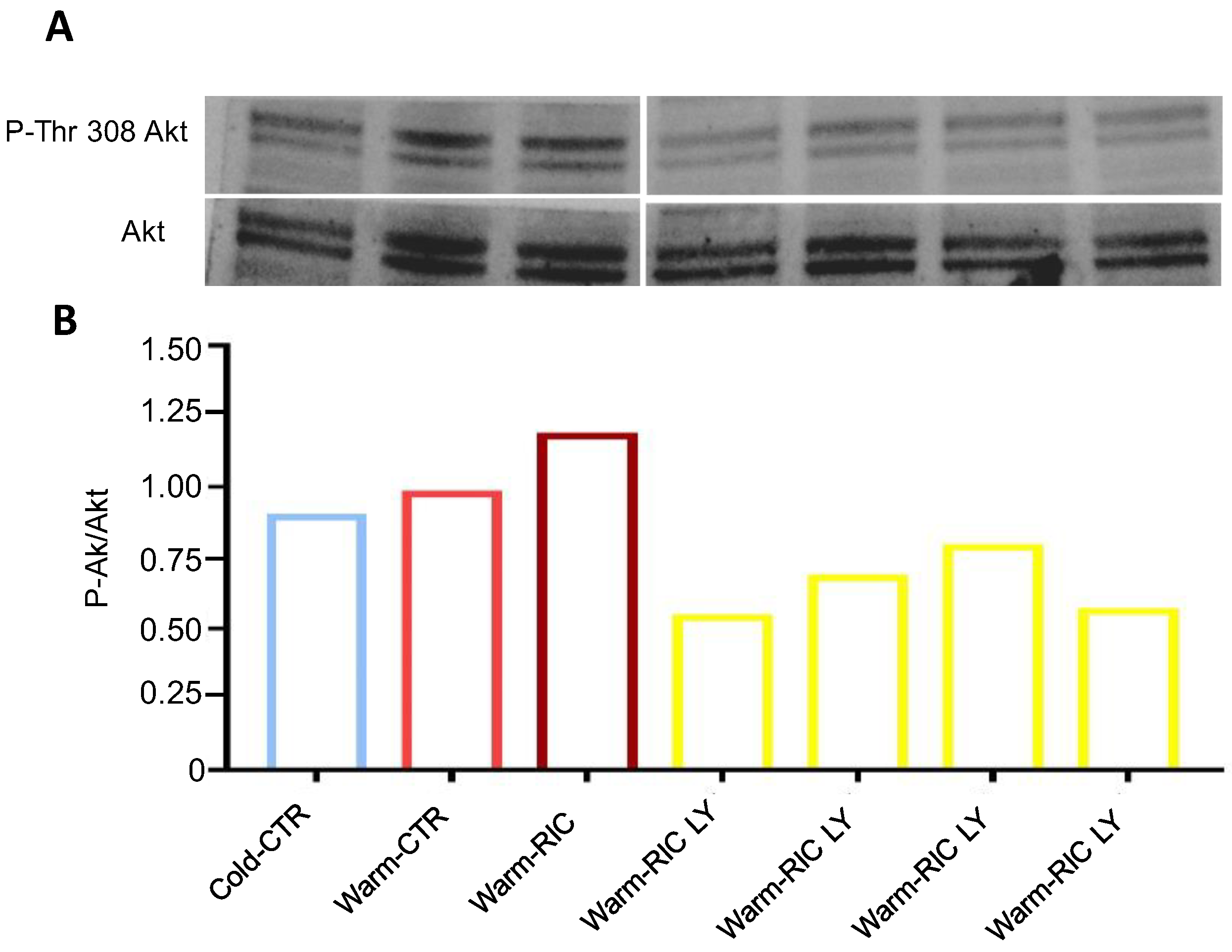 Biology 11 00146 g003 Biology 11 00146 g003