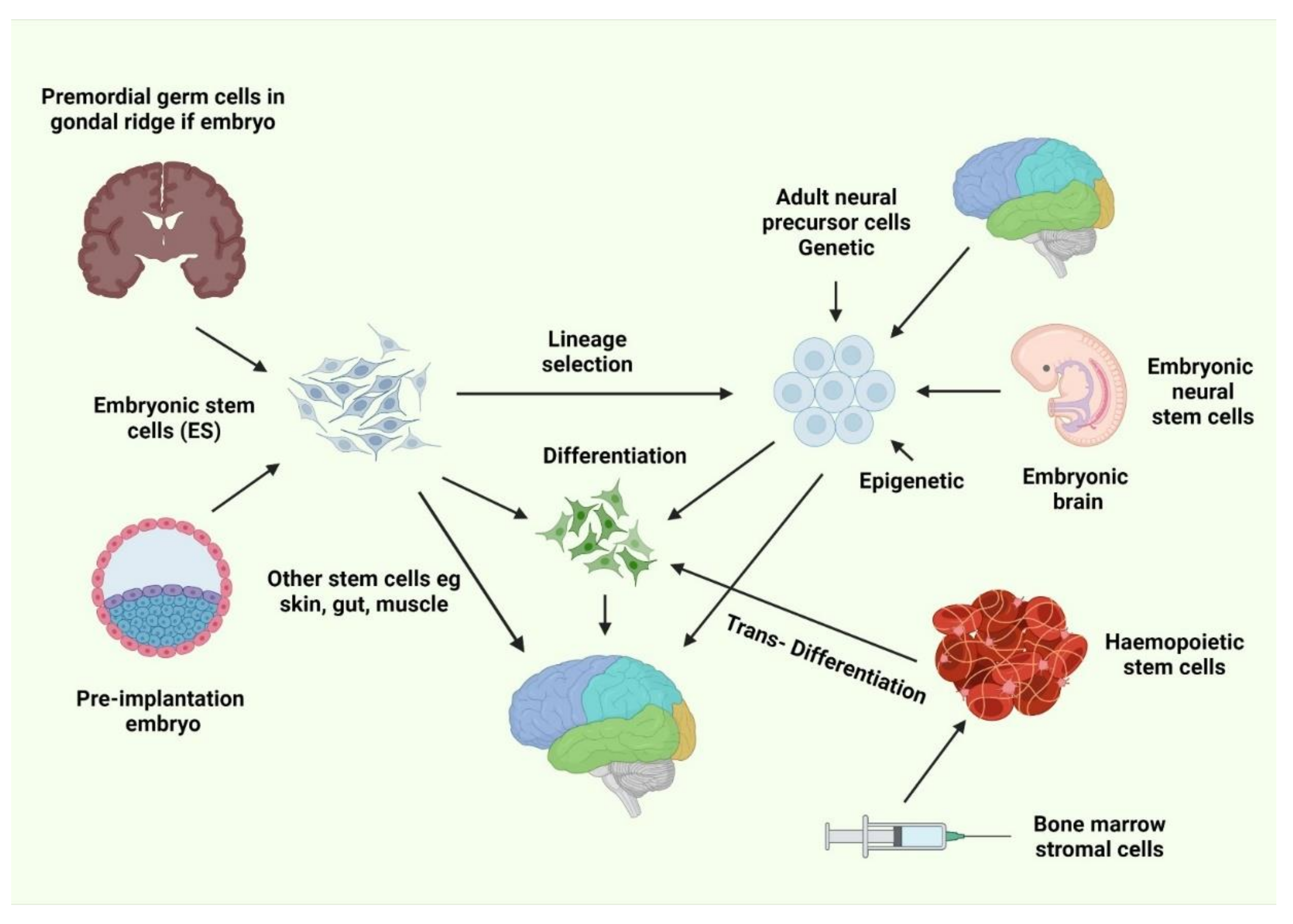 Some speech disorders.  Journal of Neurology, Neurosurgery & Psychiatry