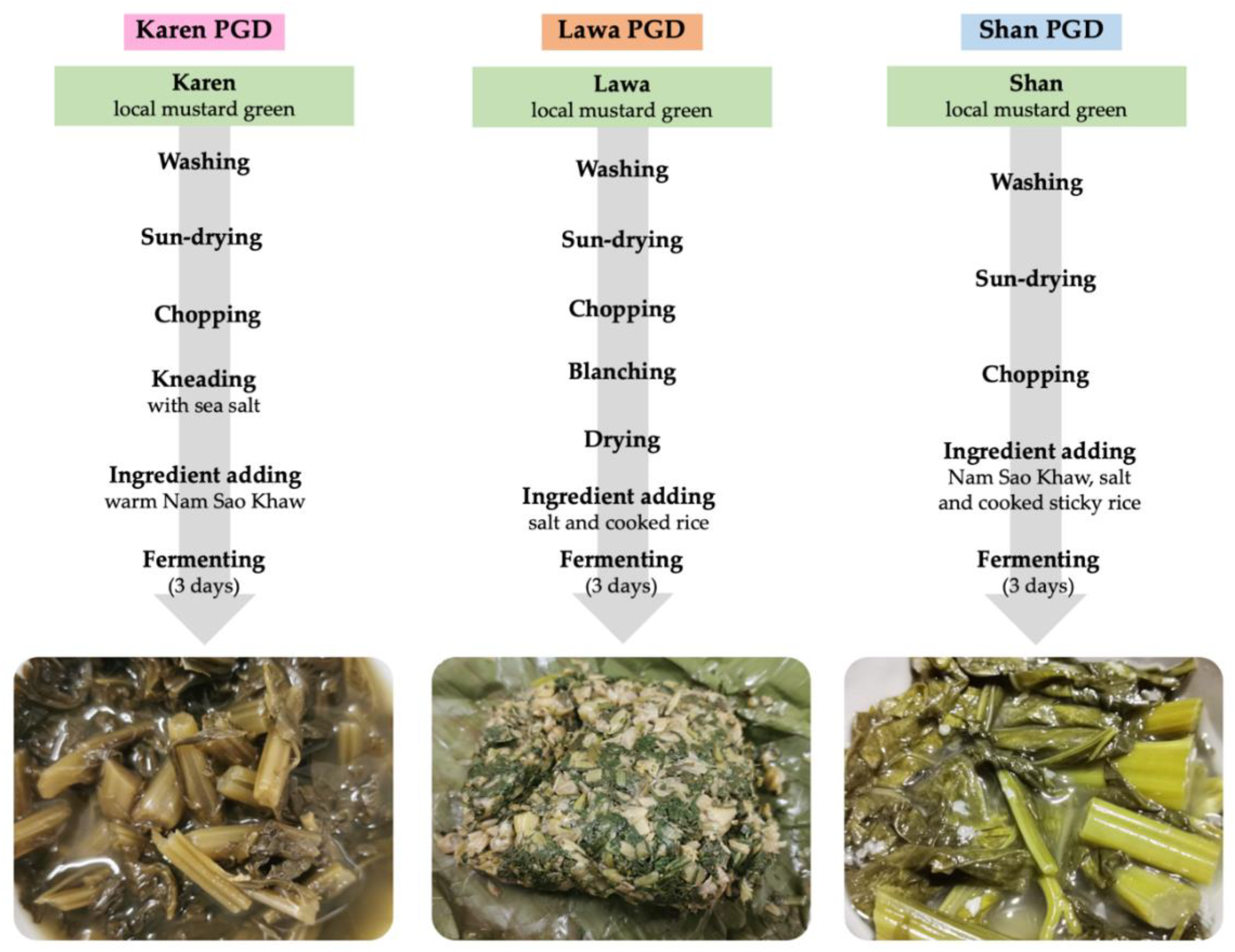 Biology 11 00150 g001