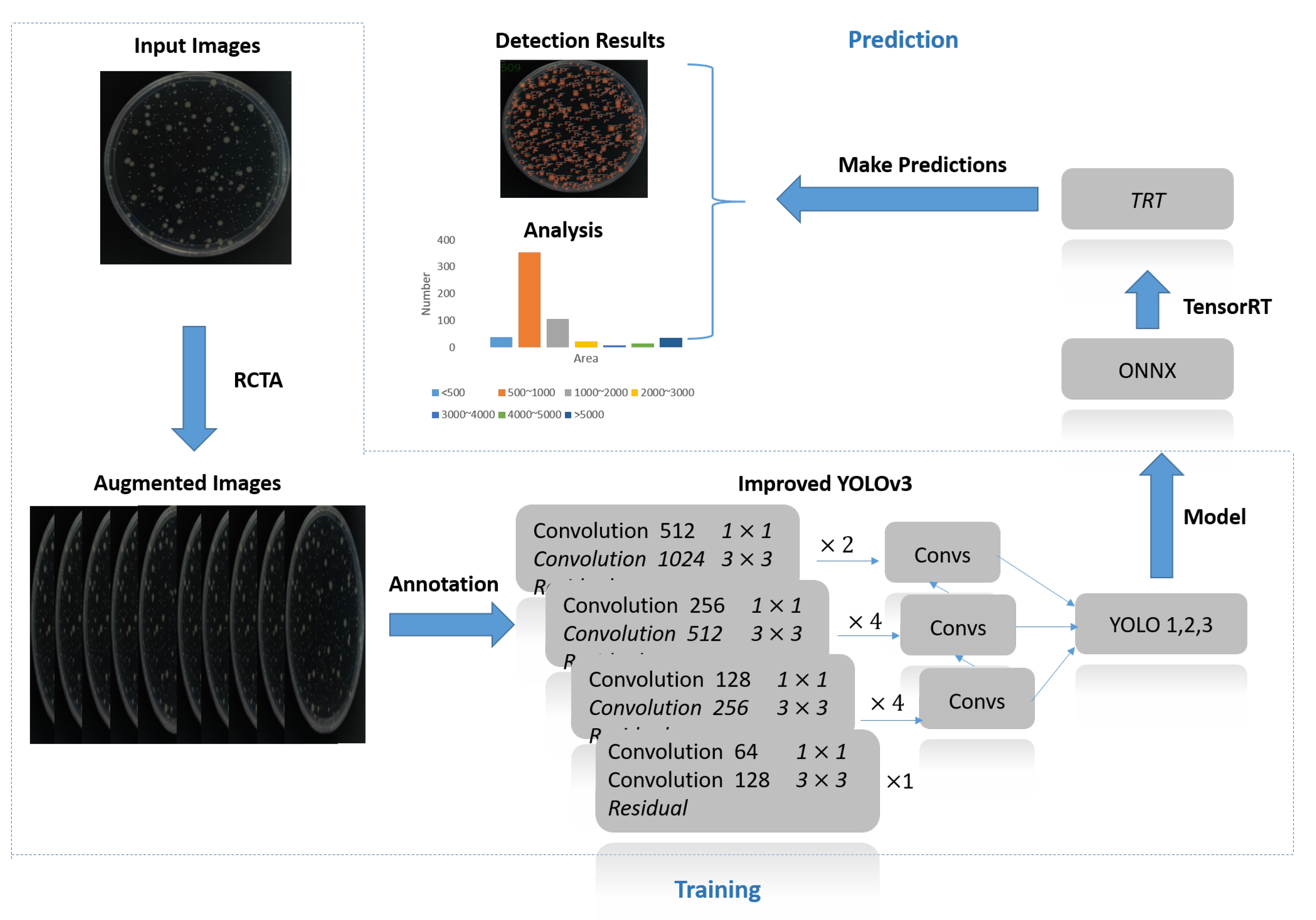 Biology 11 00156 g002
