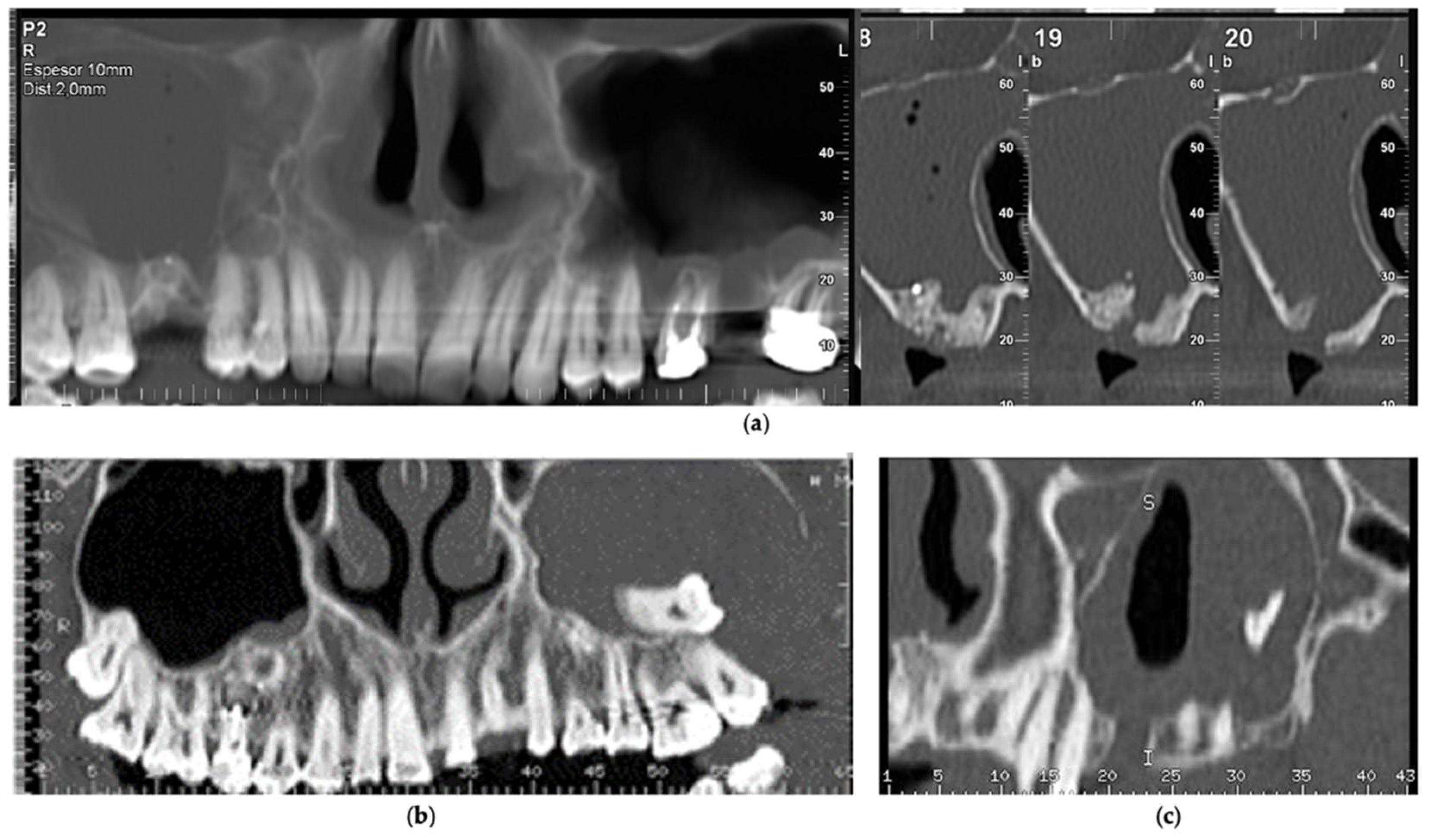 Biology 11 00165 g003 550