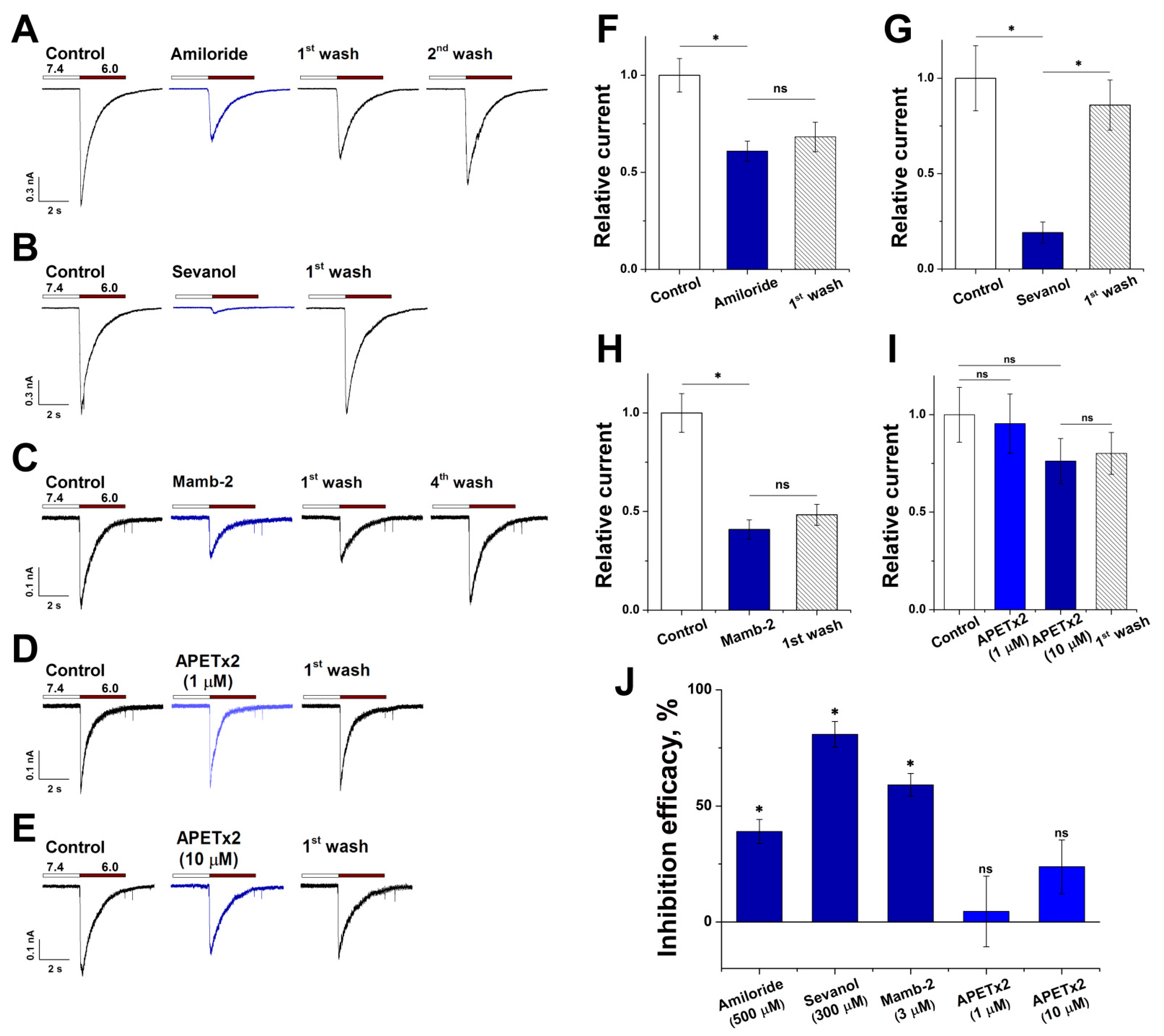 Biology 11 00167 g006 Biology 11 00167 g006