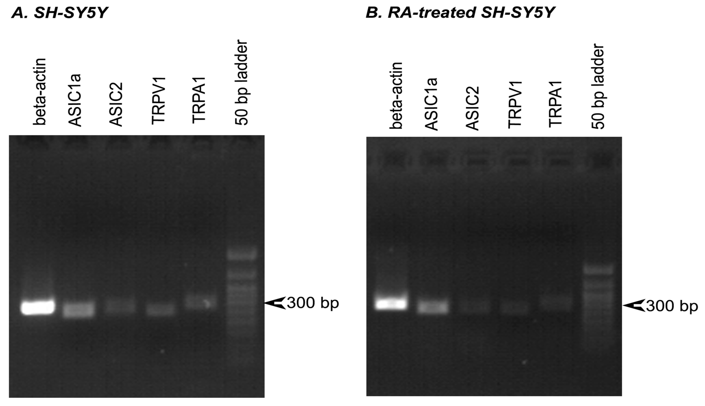Biology 11 00167 g0a2 Biology 11 00167 g0a2