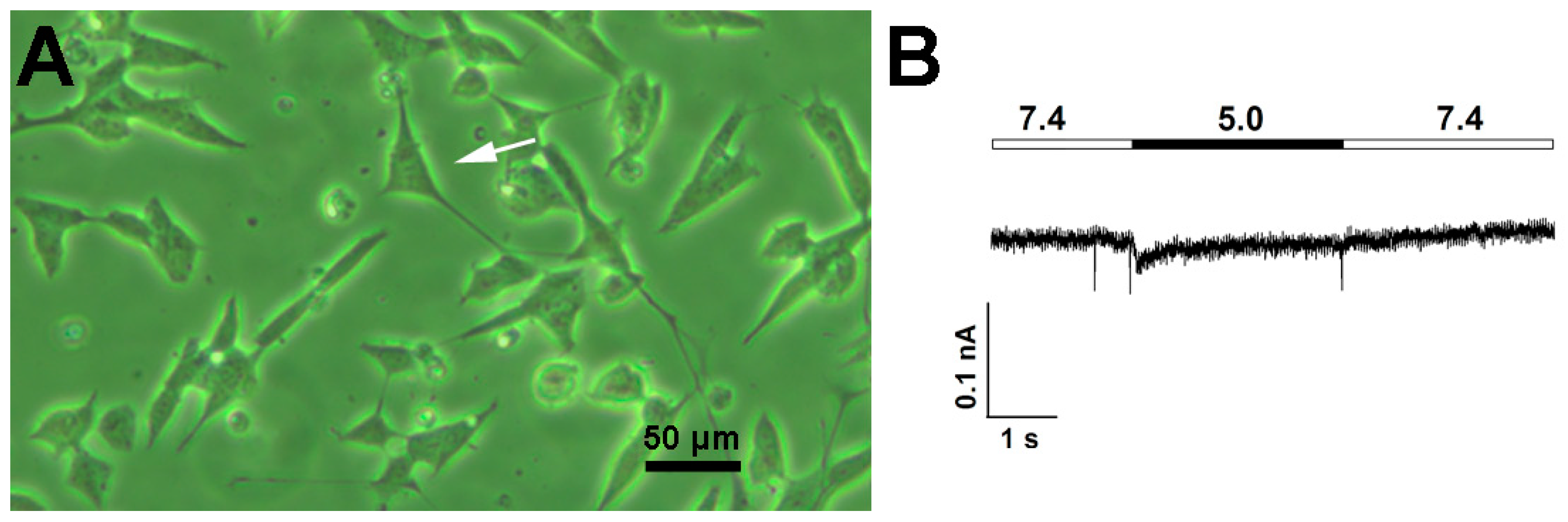 Biology 11 00167 g0a3 Biology 11 00167 g0a3