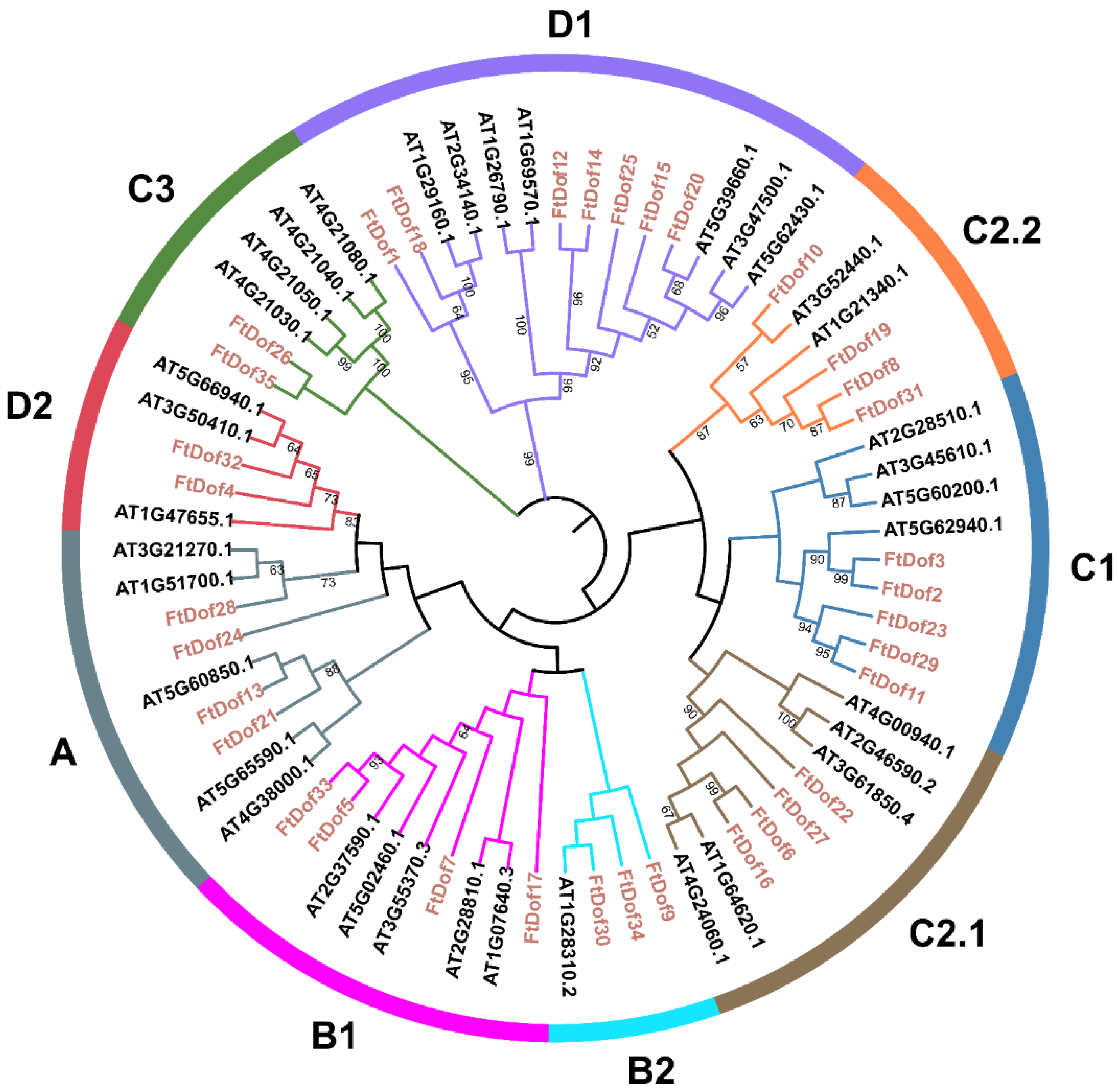 Biology 11 00173 g002