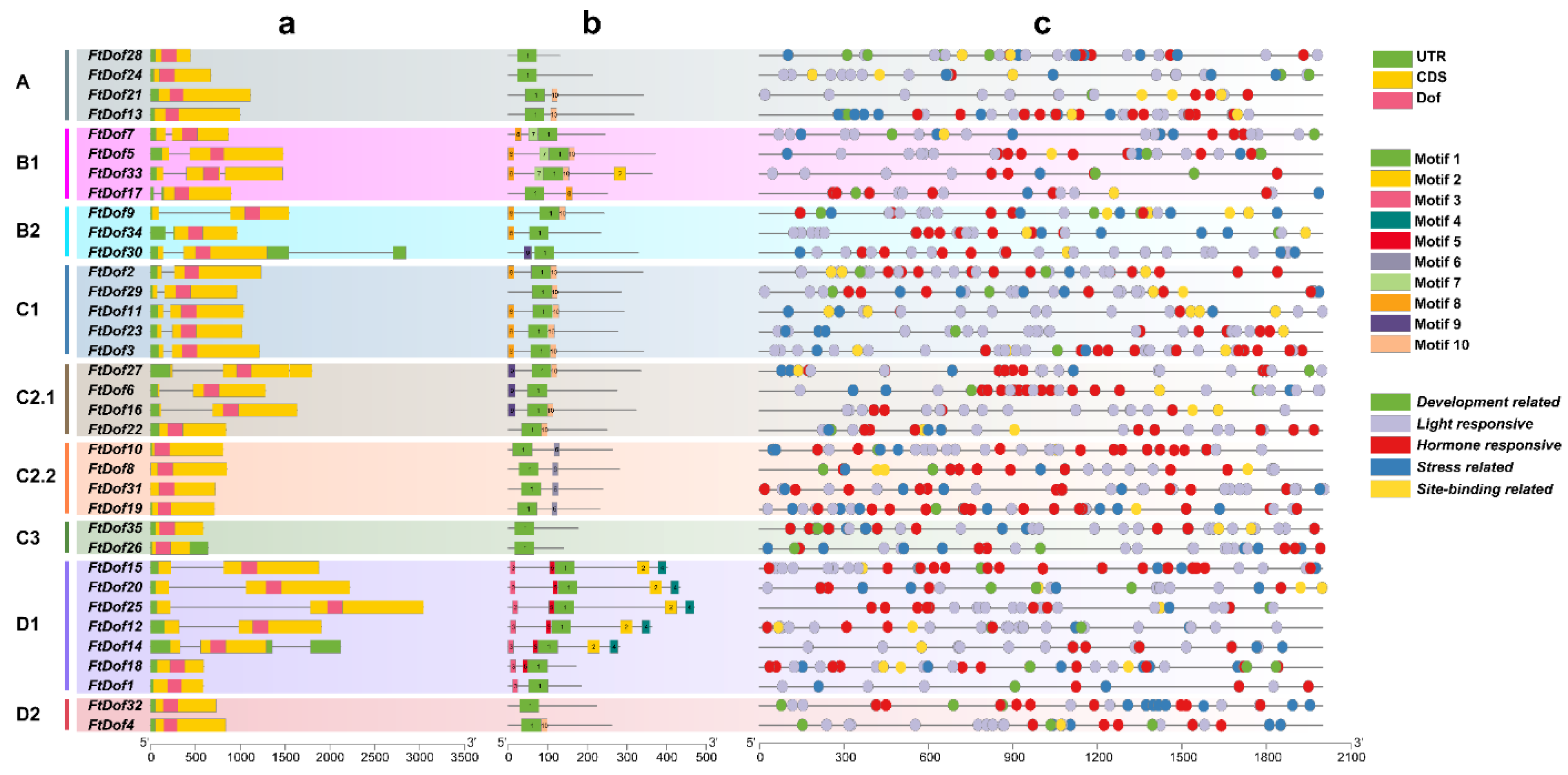 Biology 11 00173 g003