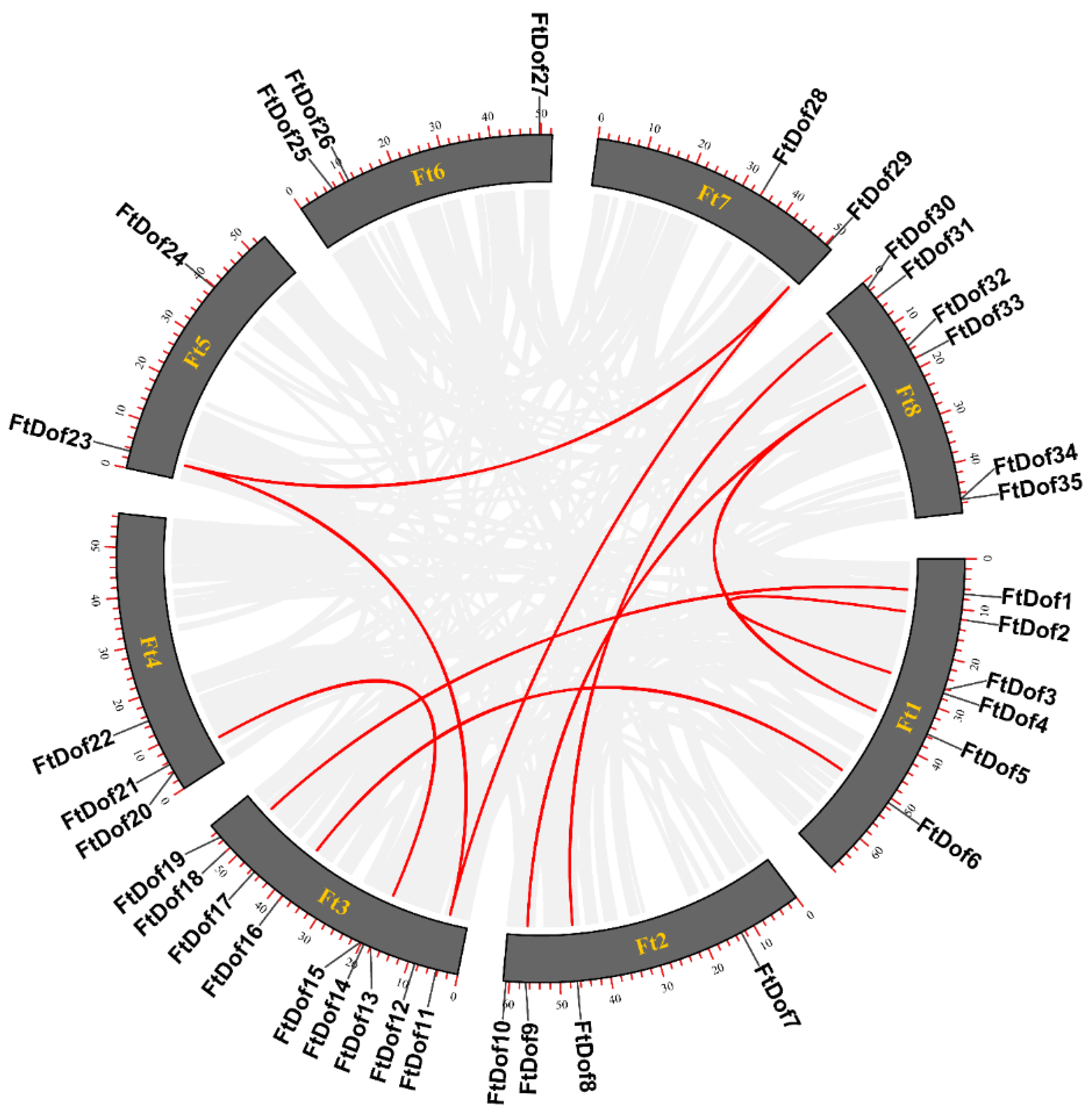 Biology 11 00173 g004