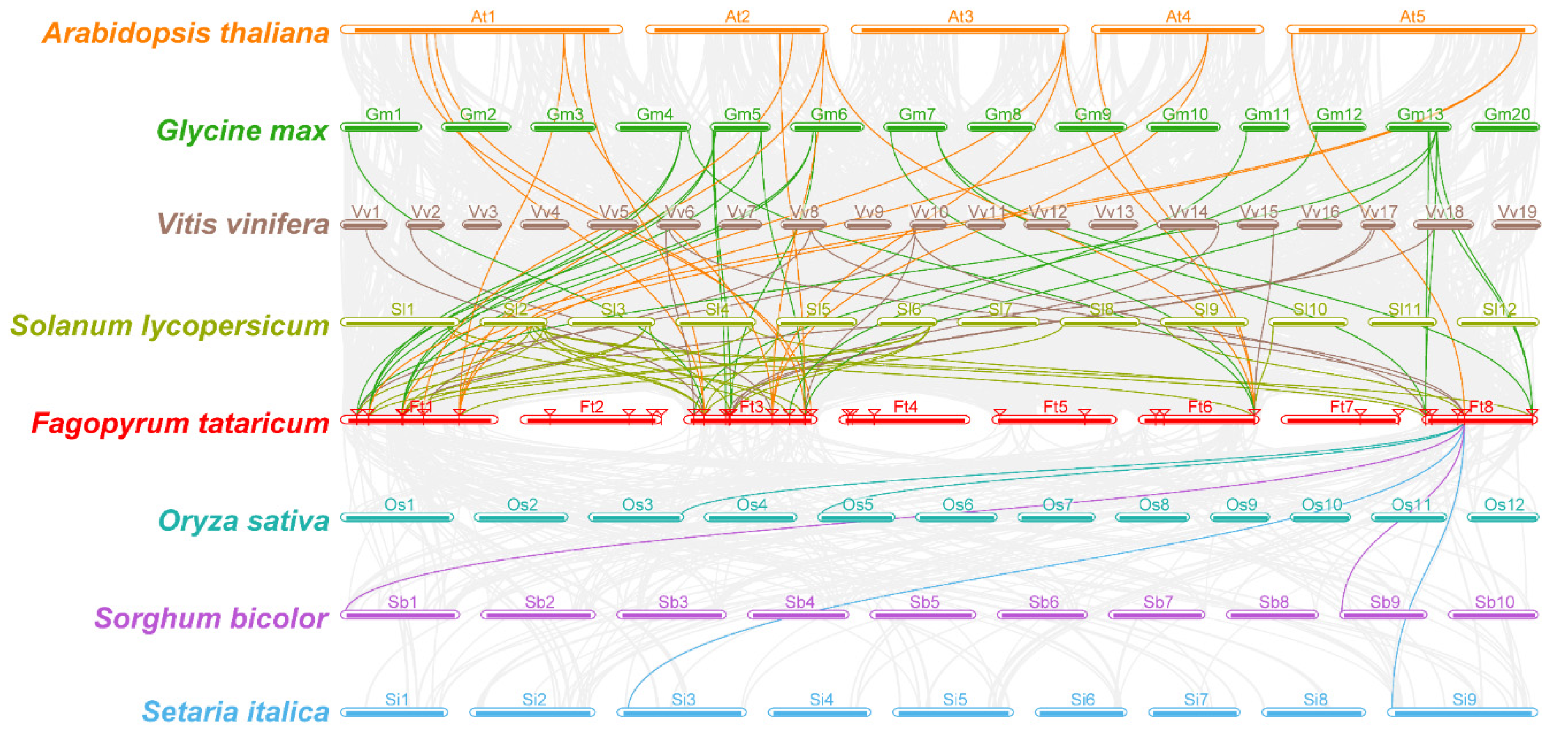 Biology 11 00173 g005