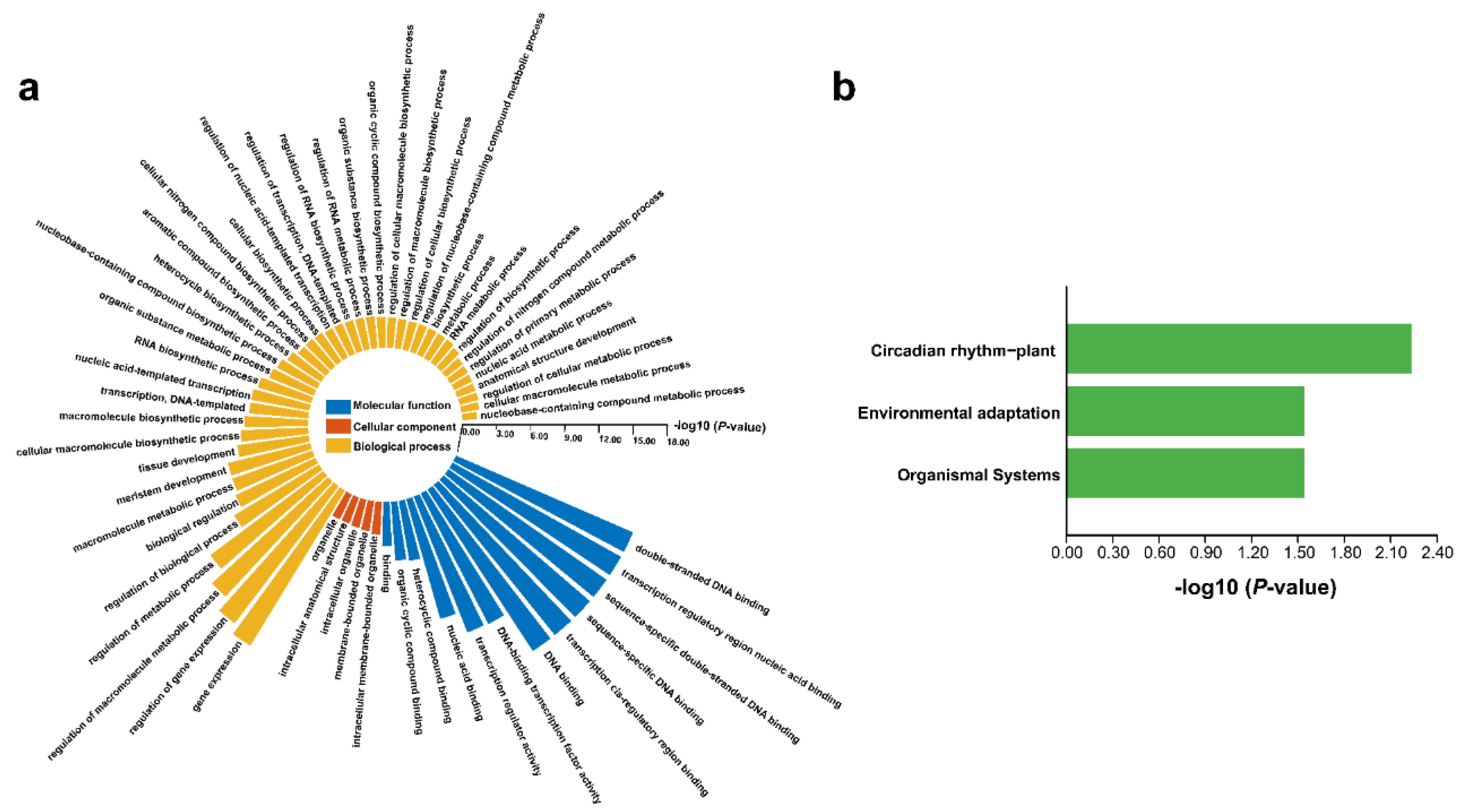 Biology 11 00173 g007