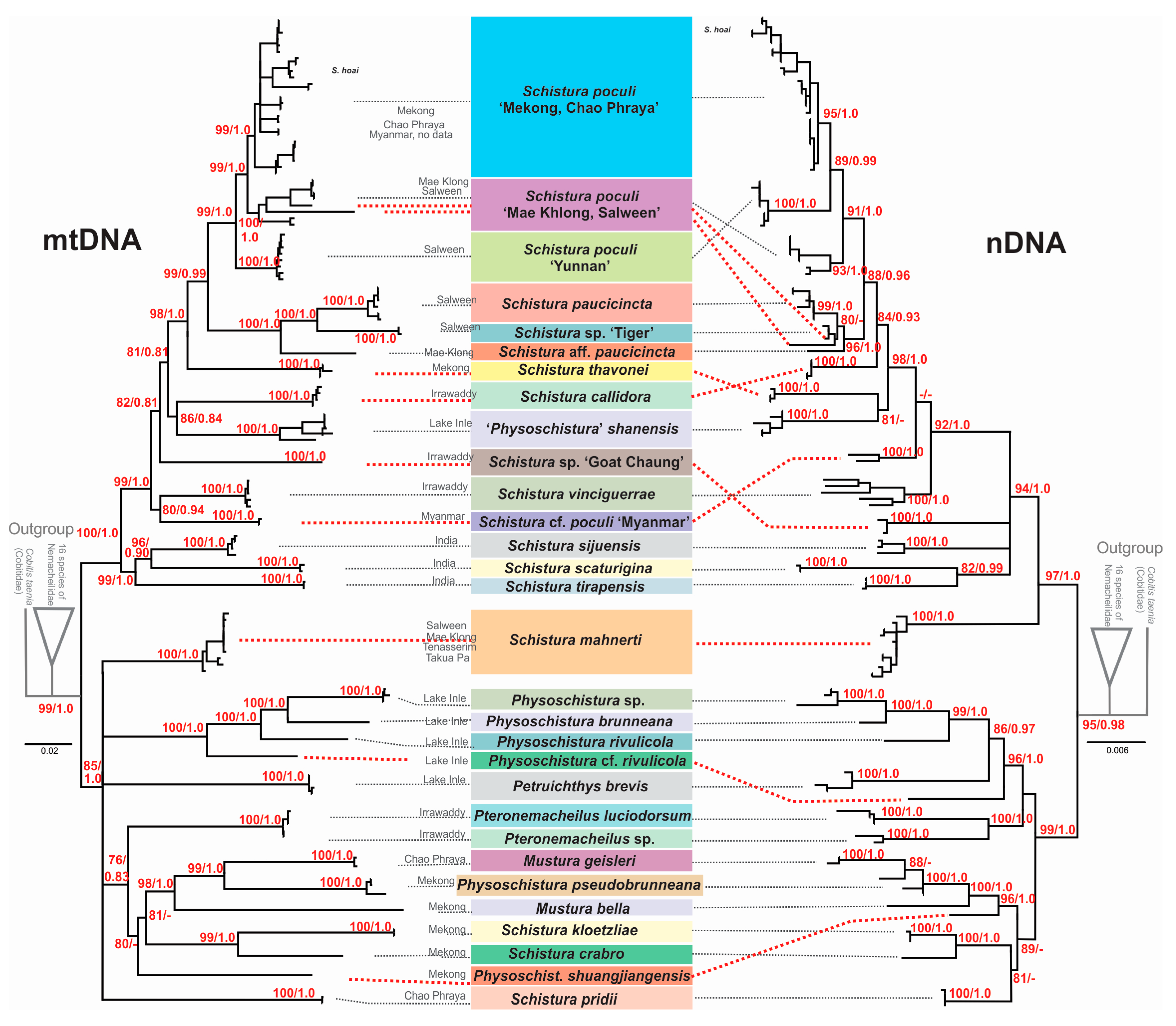 Biology 11 00175 g003 Biology 11 00175 g003