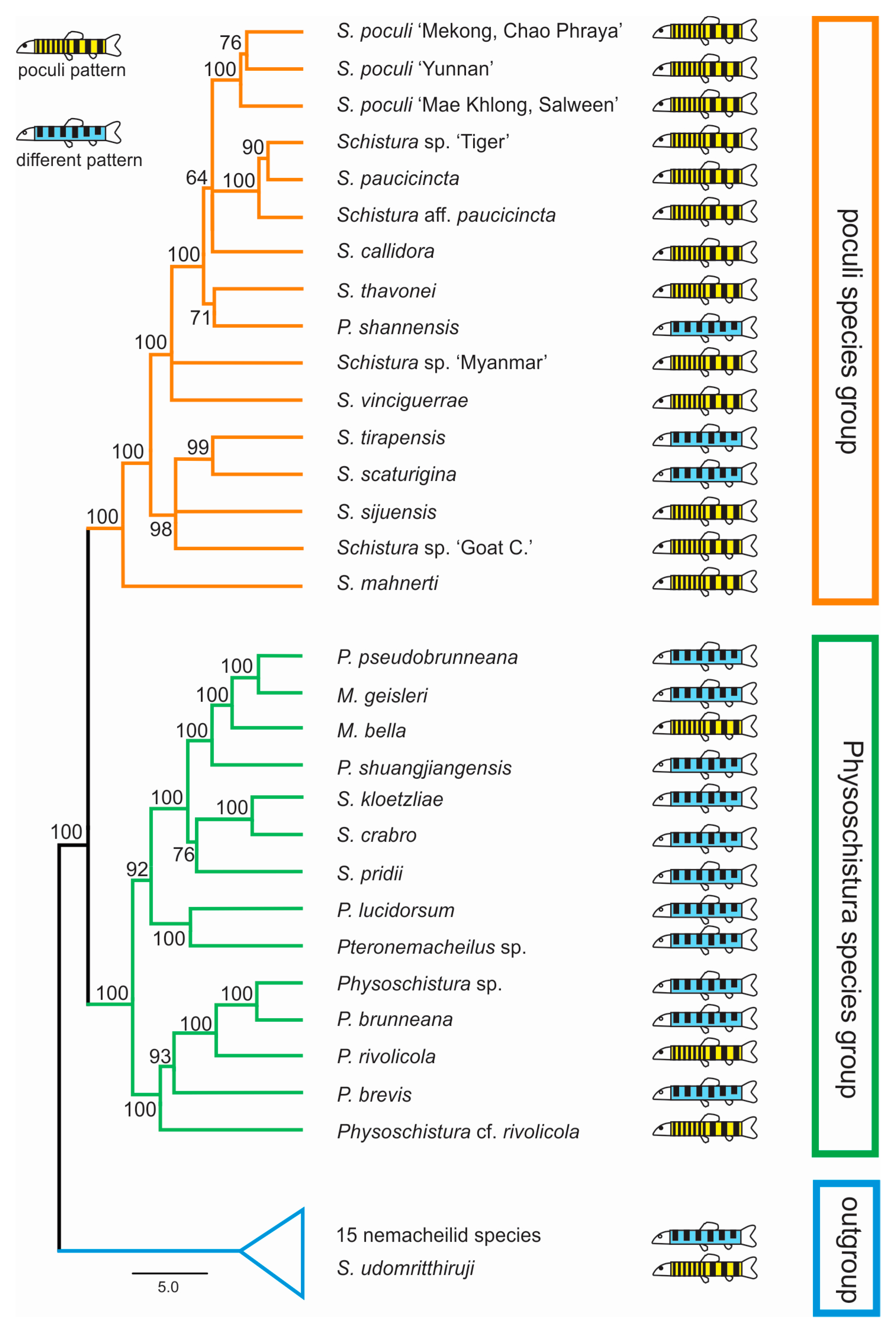 Biology 11 00175 g004 Biology 11 00175 g004