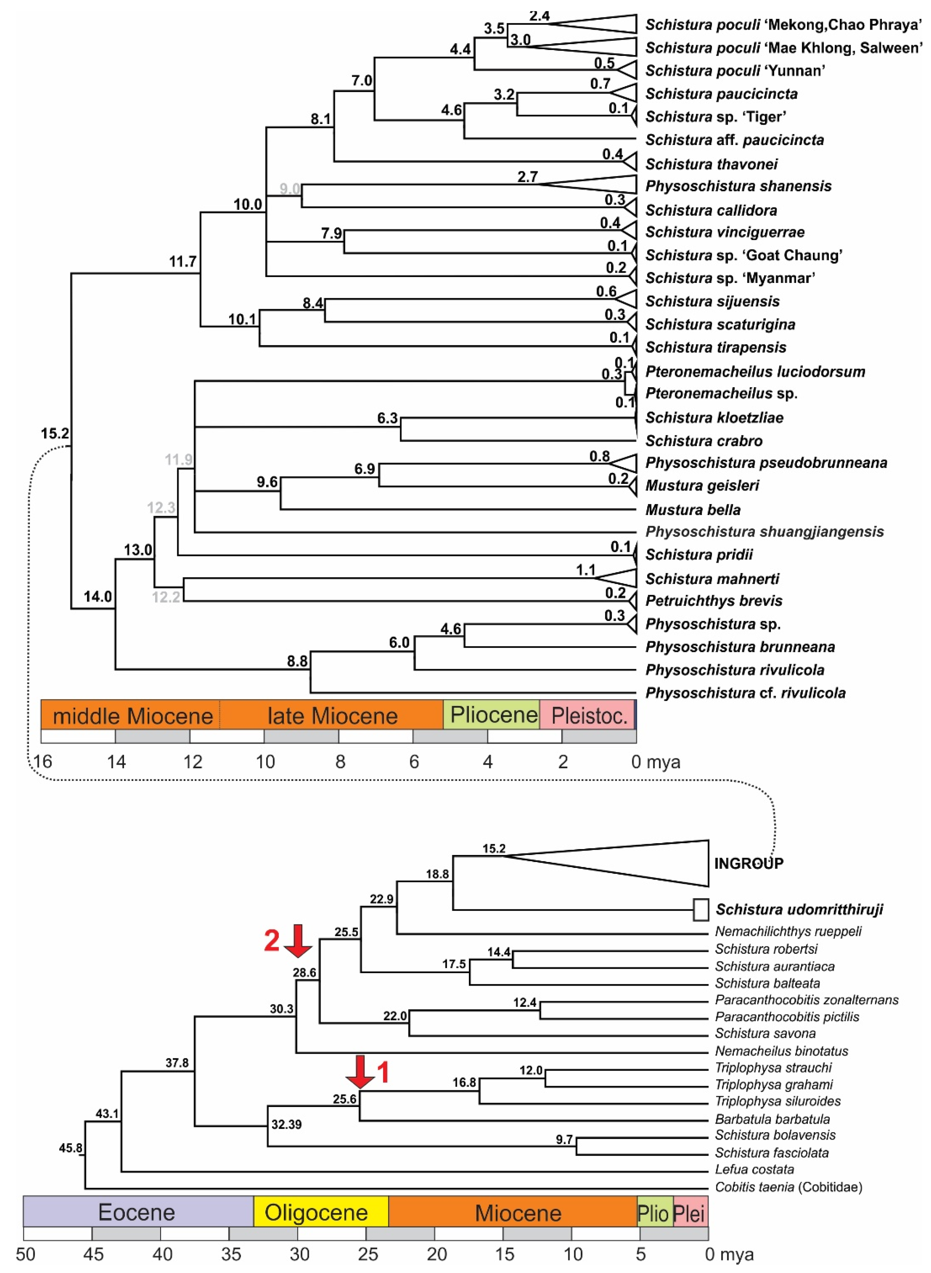 Biology 11 00175 g005 Biology 11 00175 g005