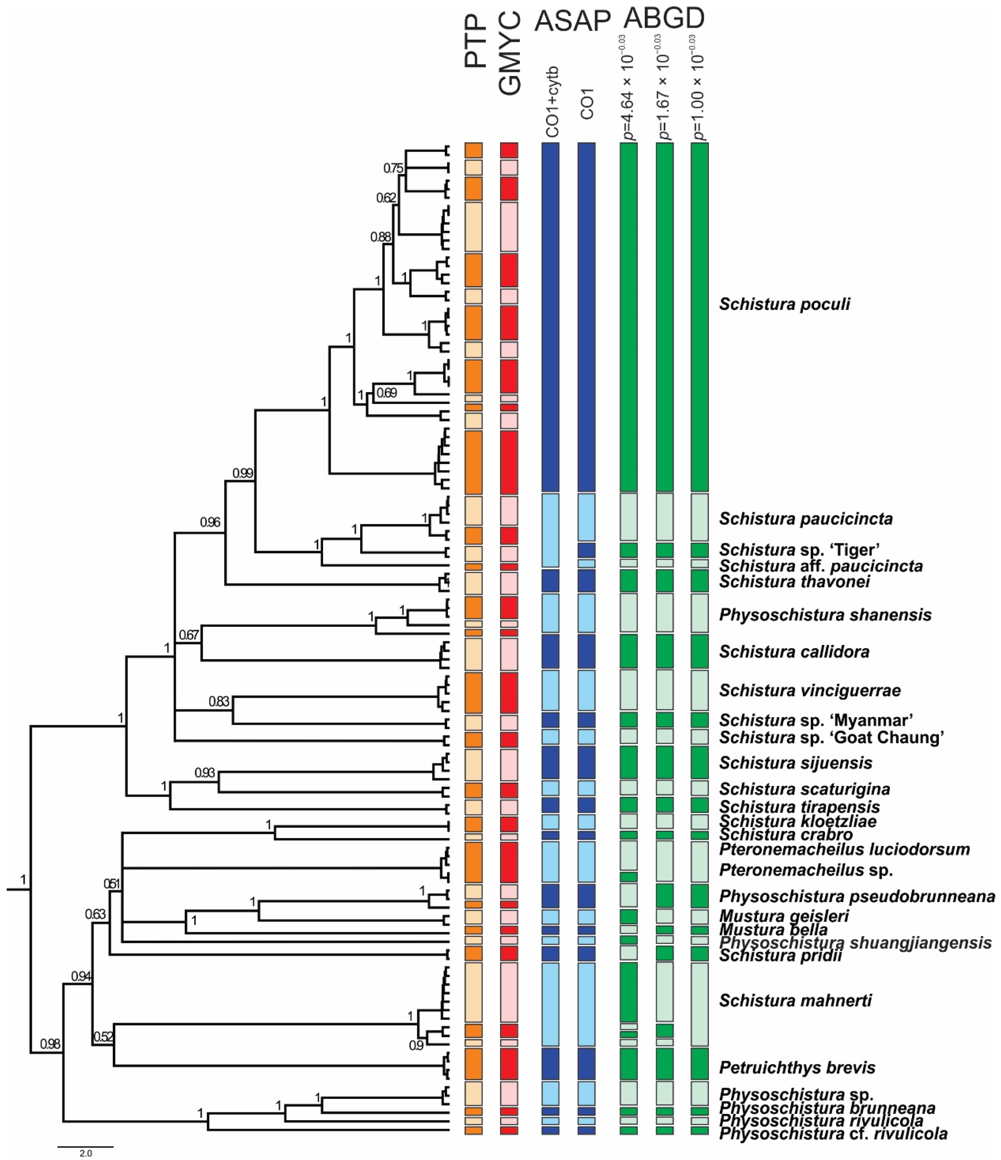 Biology 11 00175 g006 Biology 11 00175 g006