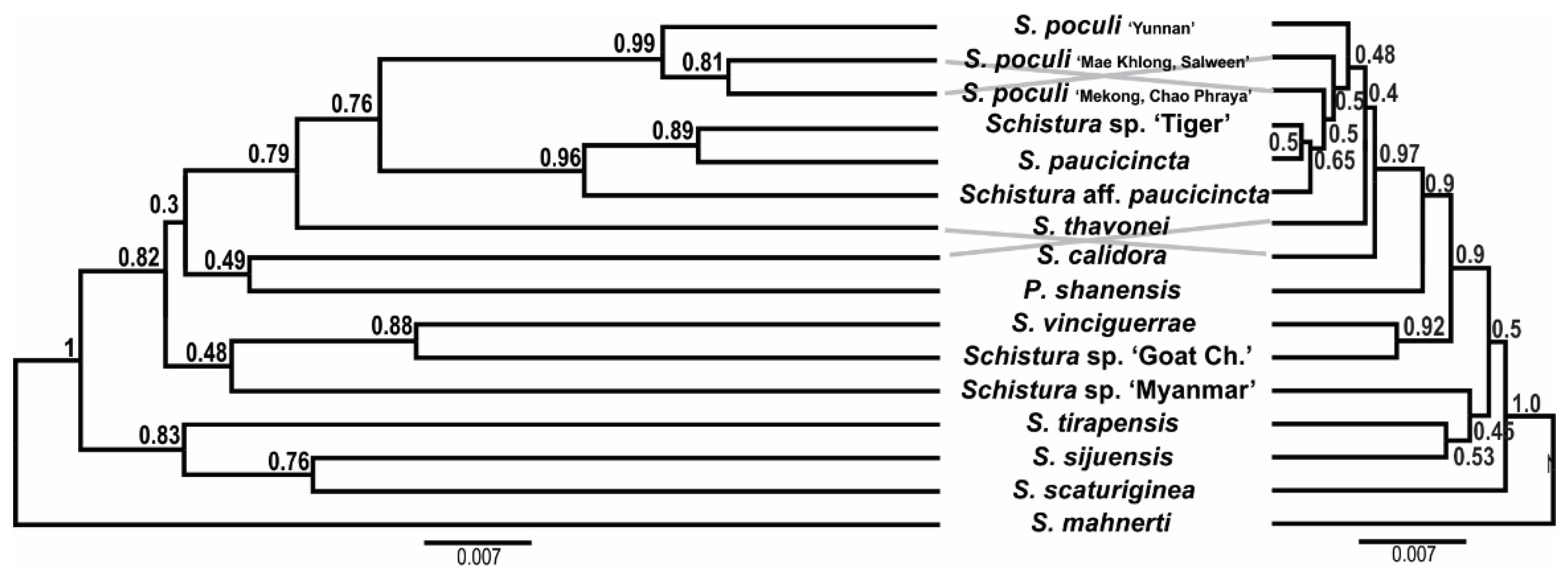 Biology 11 00175 g007 Biology 11 00175 g007
