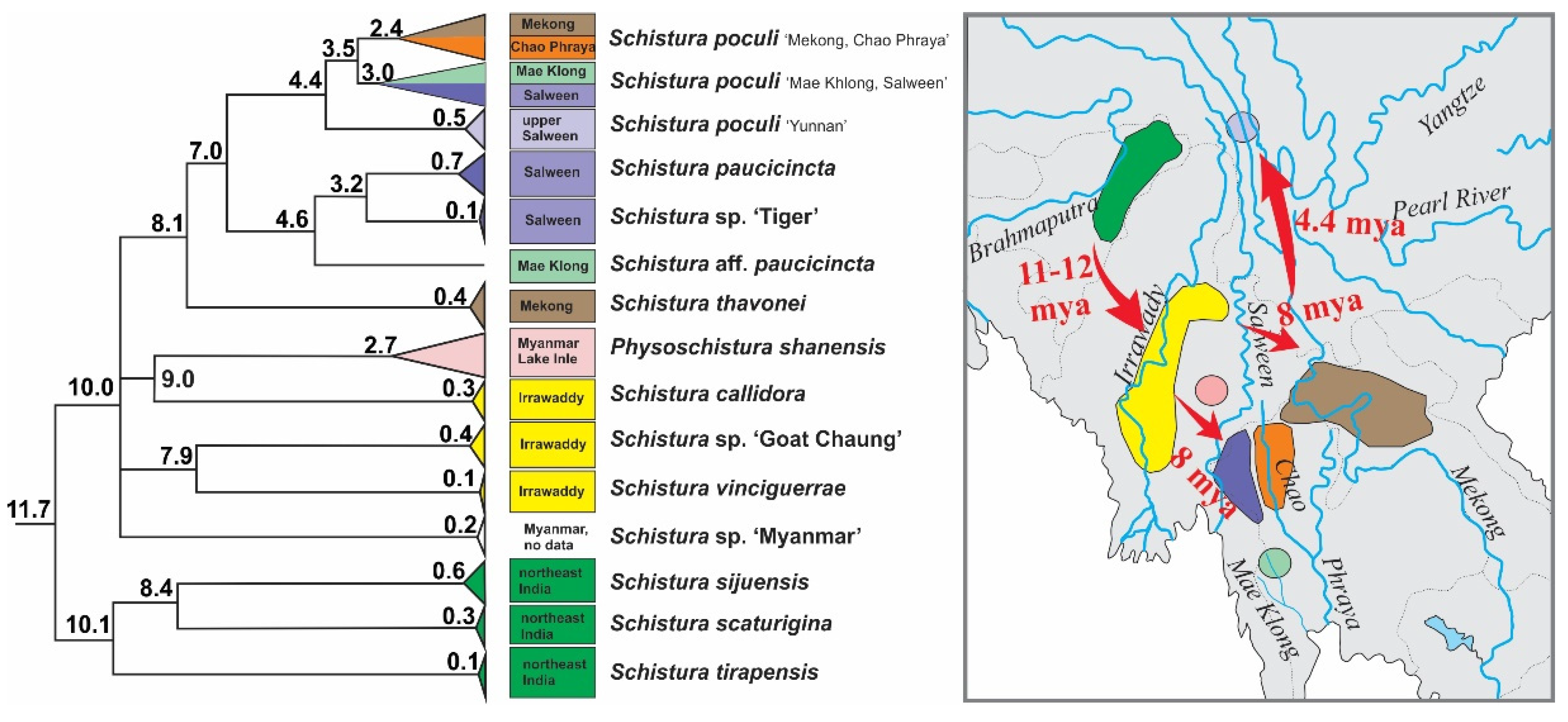 Biology 11 00175 g008 Biology 11 00175 g008