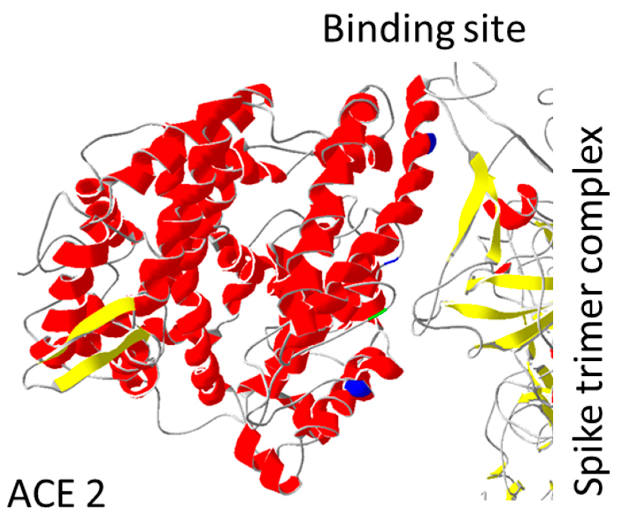 Biology 11 00178 g004