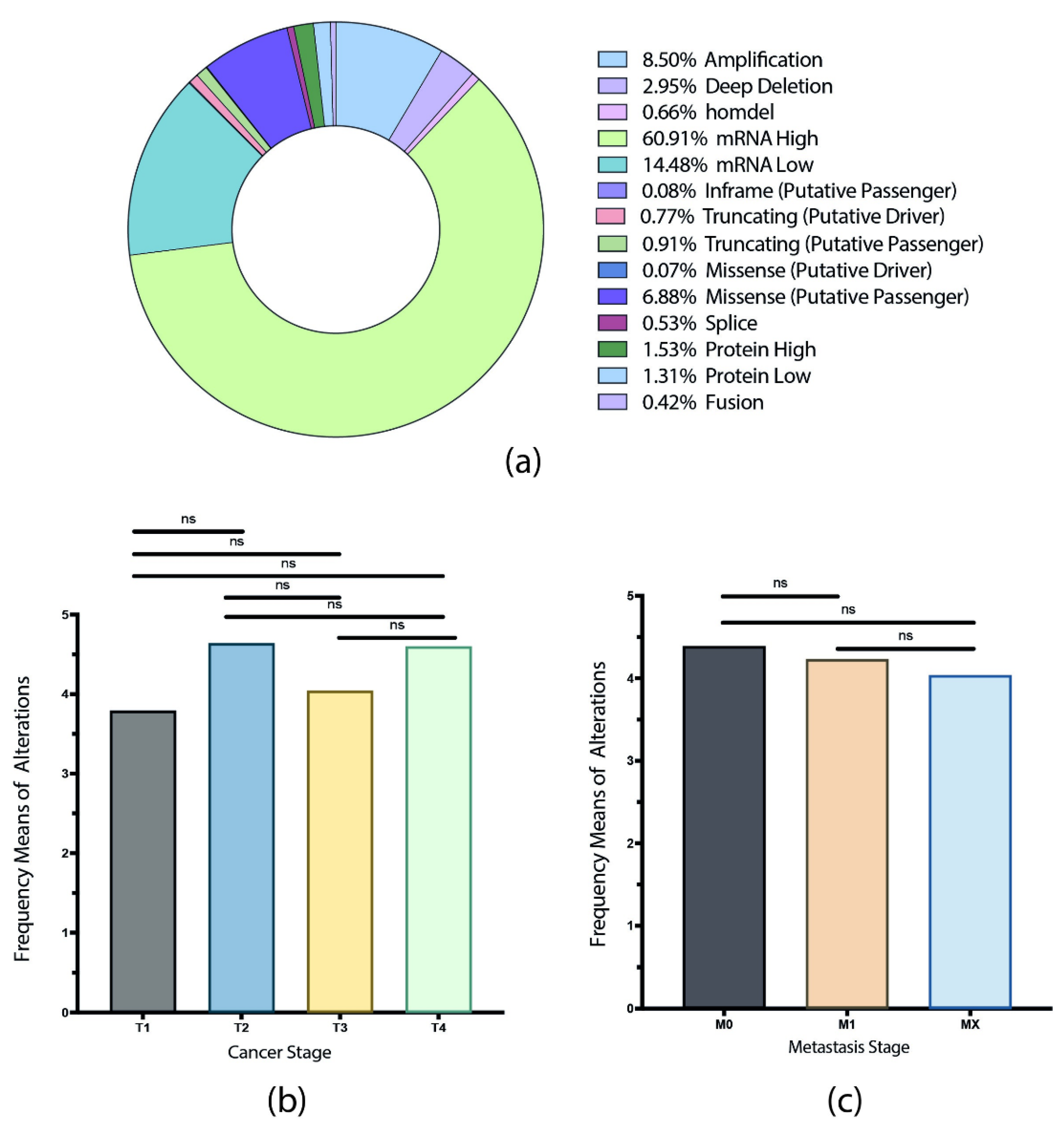 Biology 11 00185 g001 Biology 11 00185 g001
