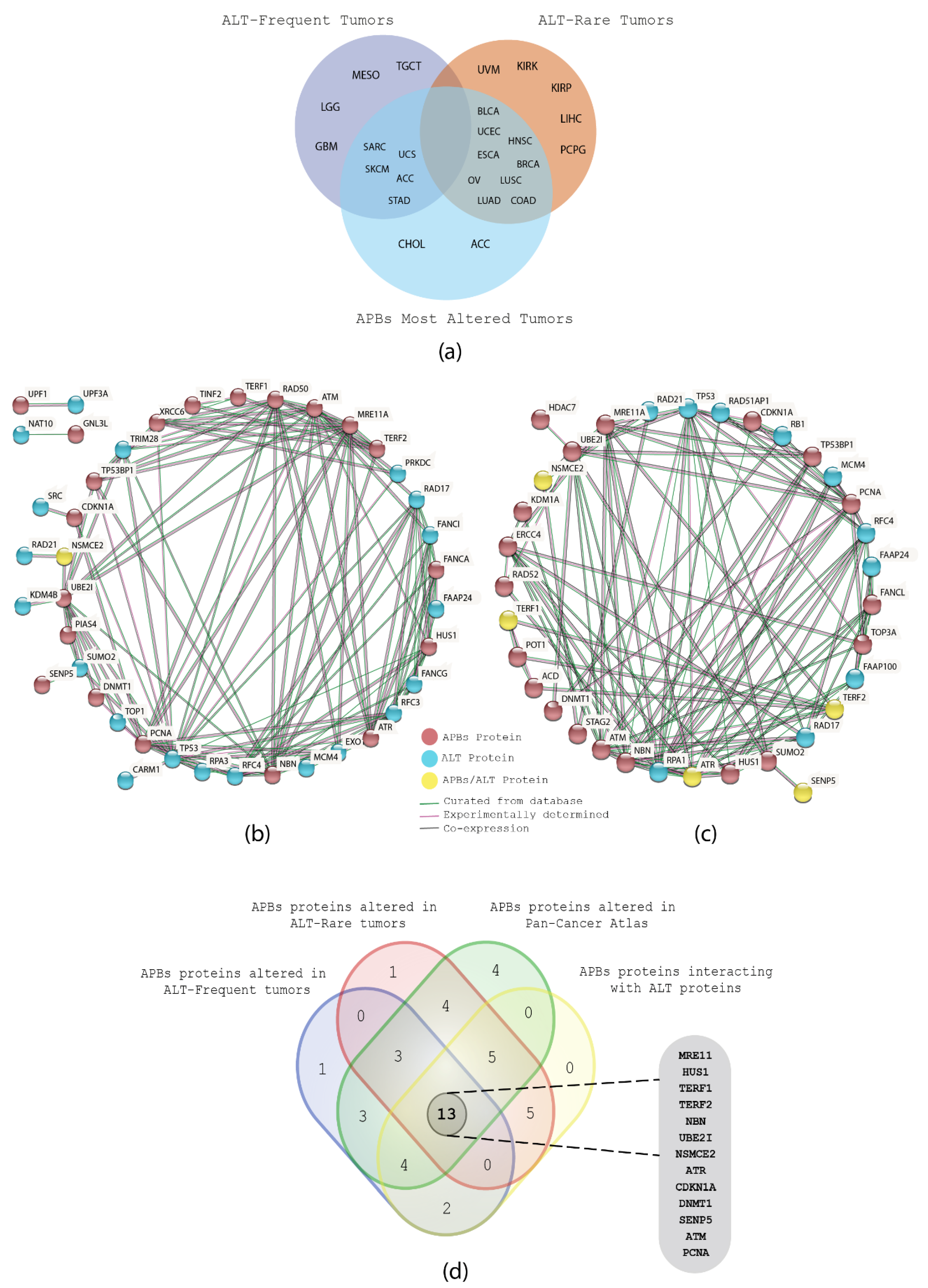 Biology 11 00185 g006 Biology 11 00185 g006